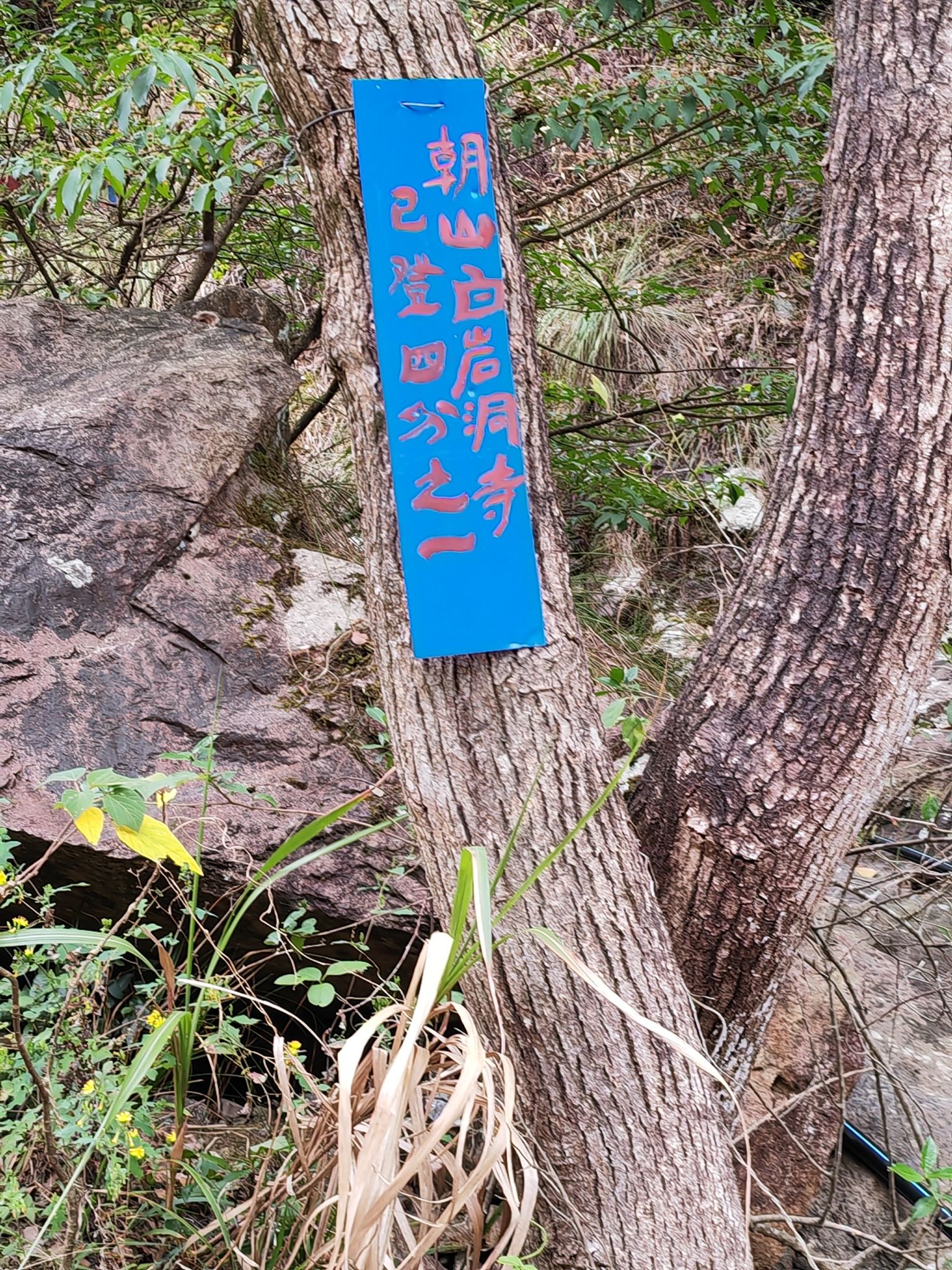 白岩山旅行图片 2