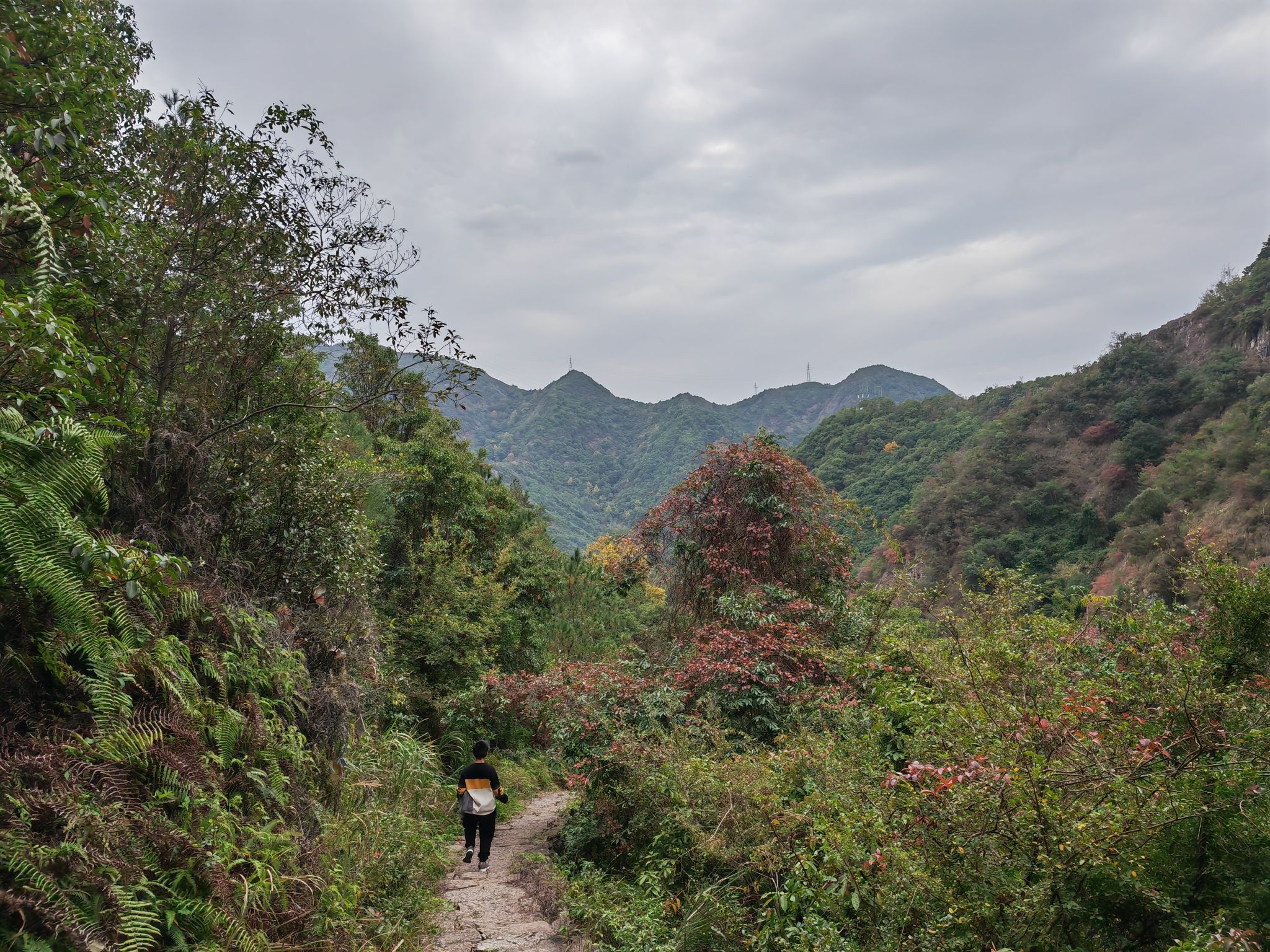 白岩山旅行图片 1