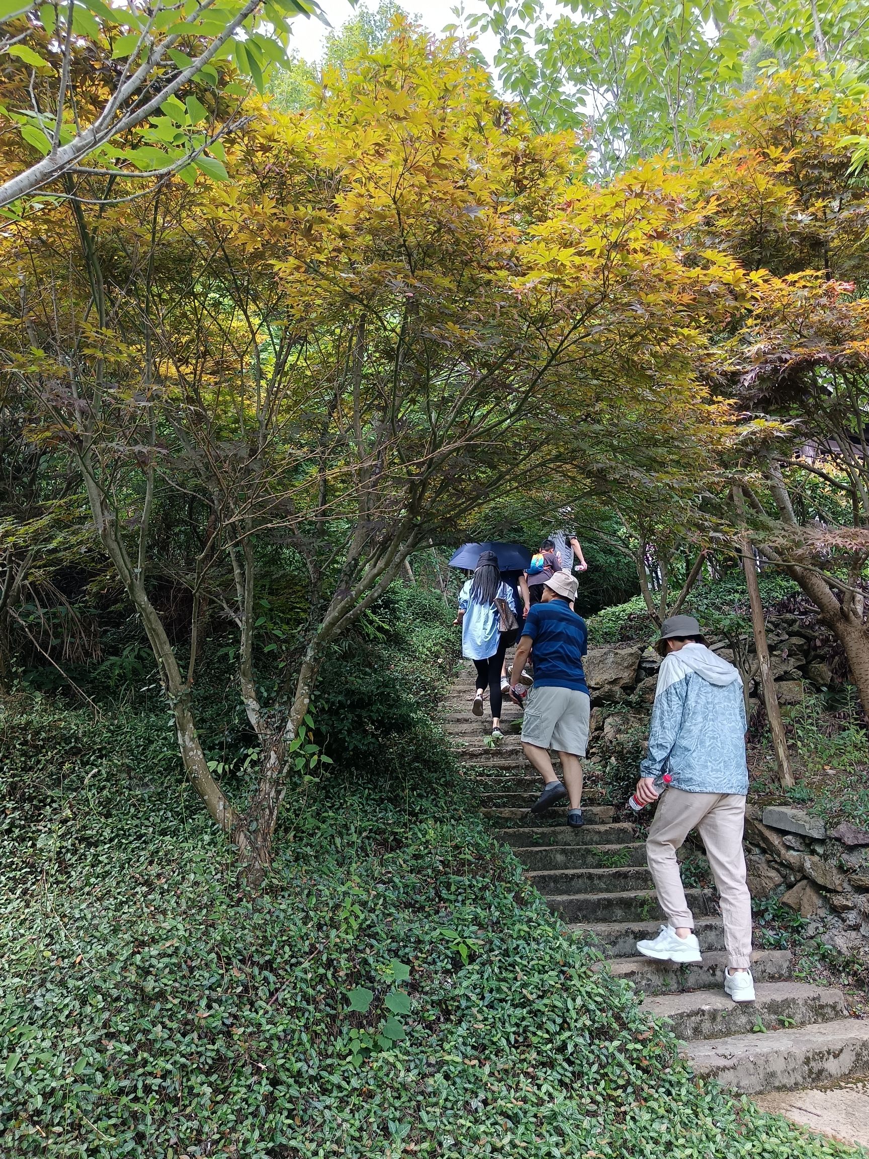 桃江十三渚旅行图片 1