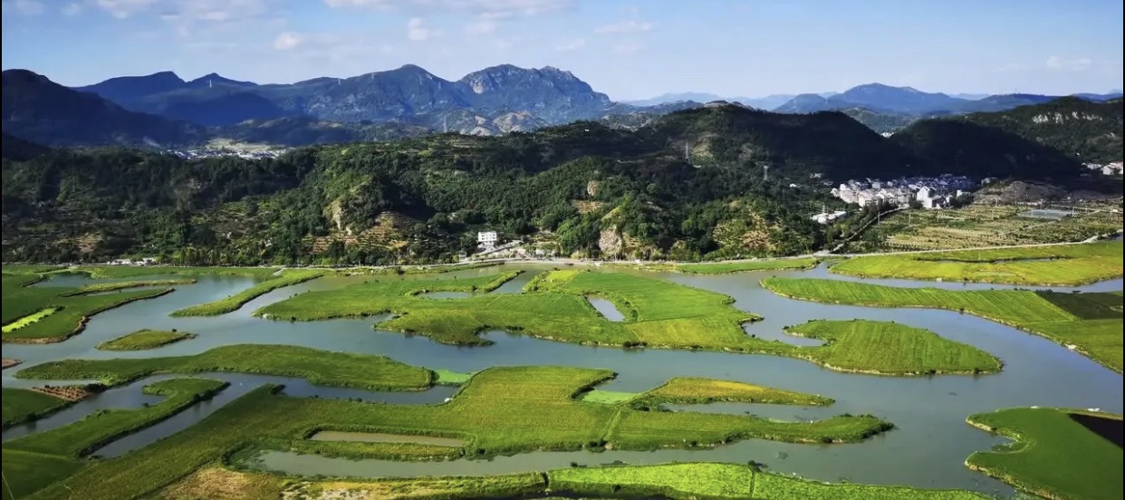 桃江十三渚旅行图片 1