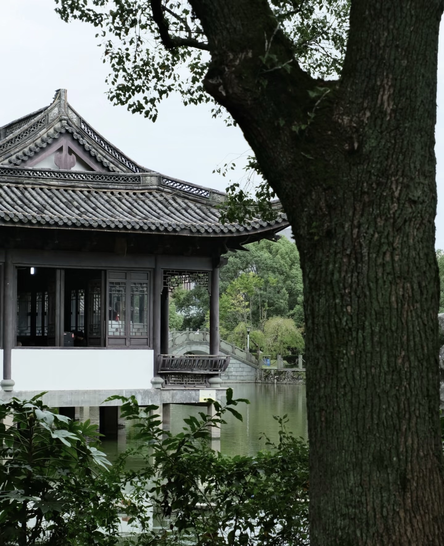 老年公园旅行图片 2