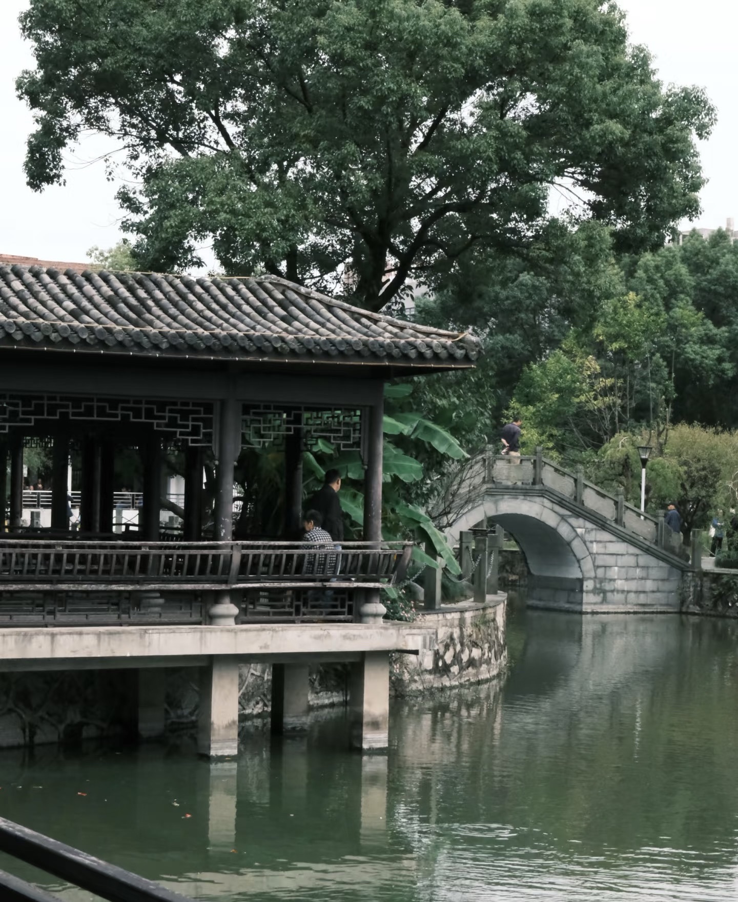 老年公园旅行图片 1