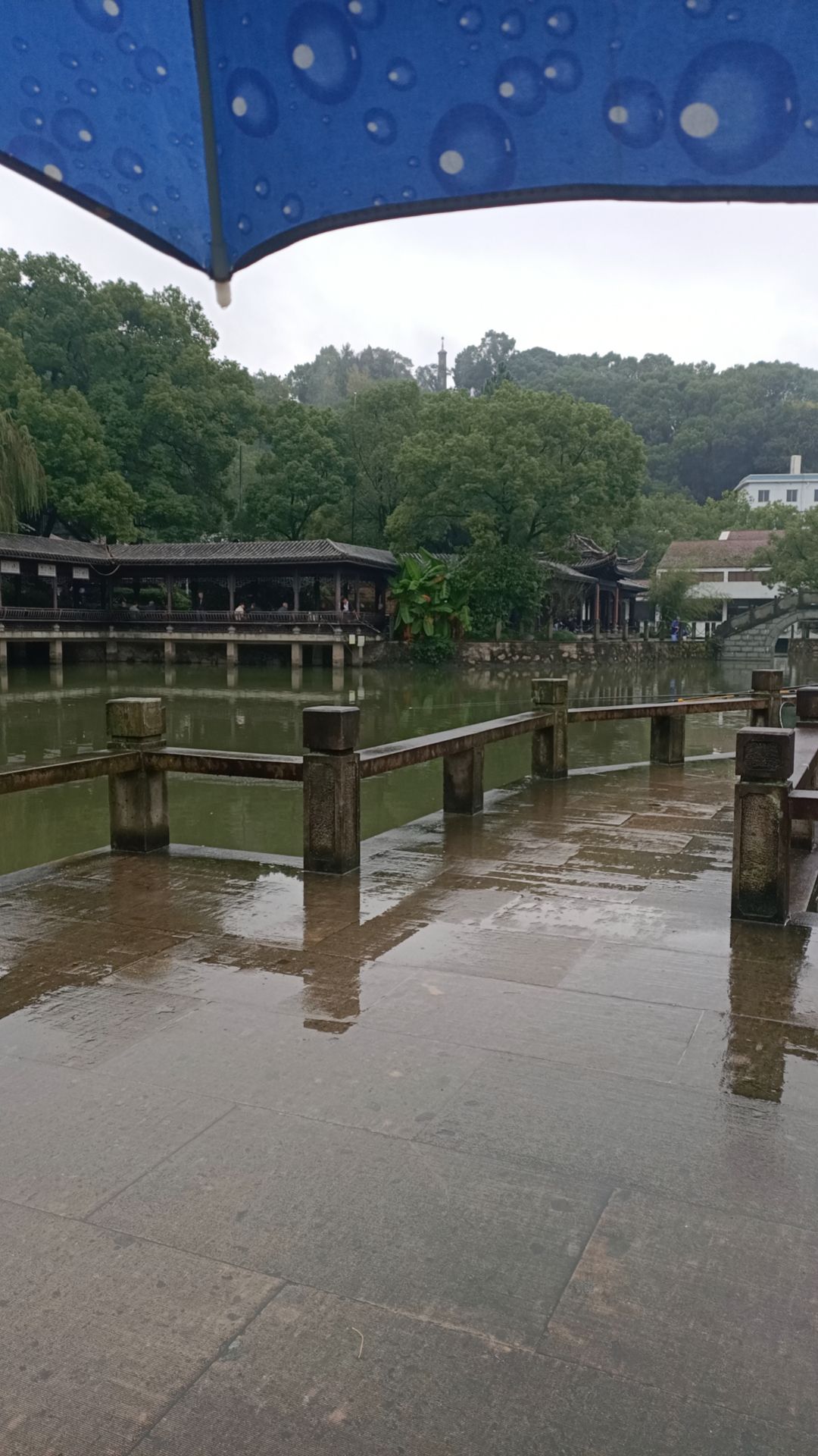 老年公园旅行图片 2