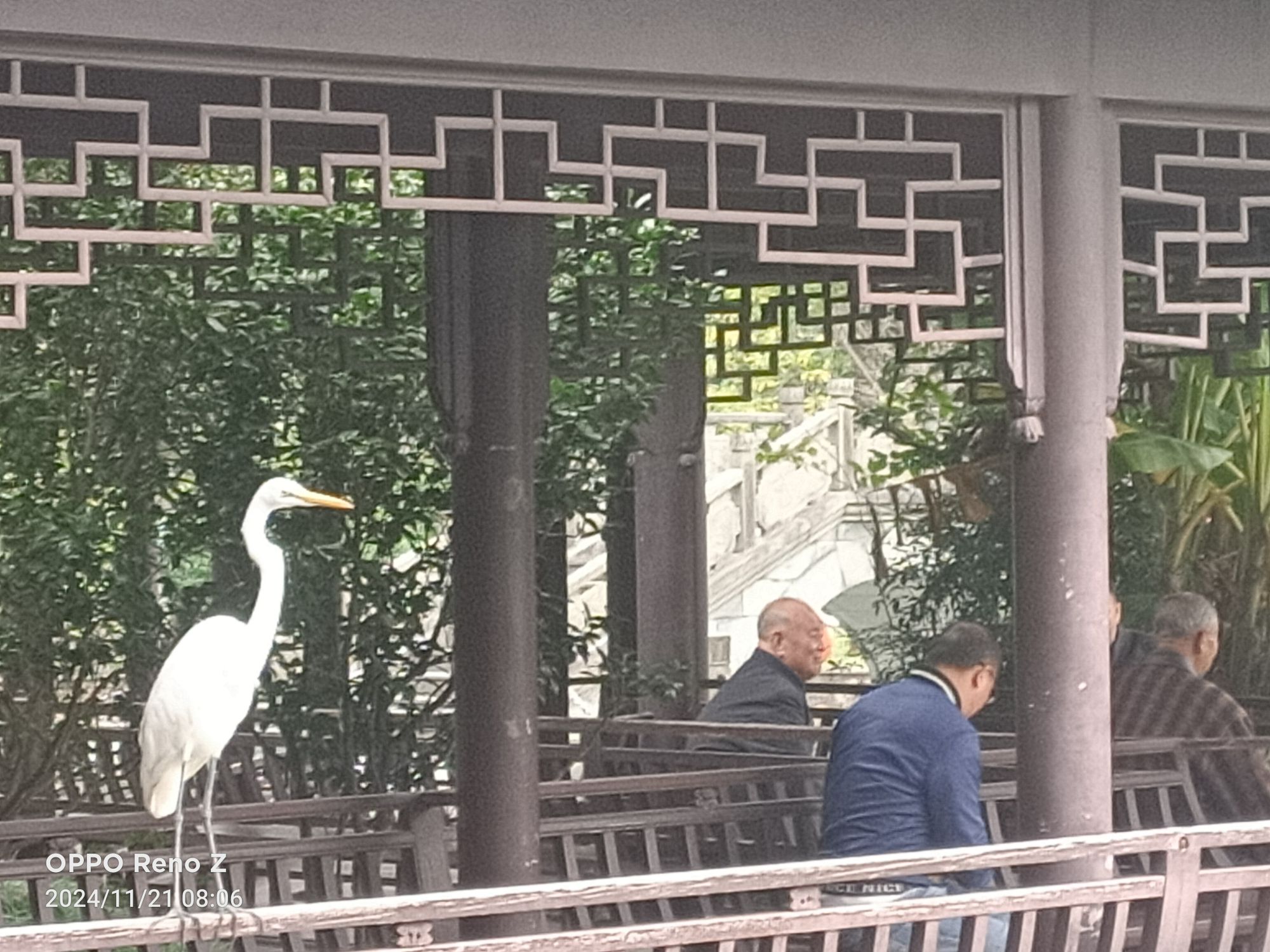 老年公园旅行图片 1