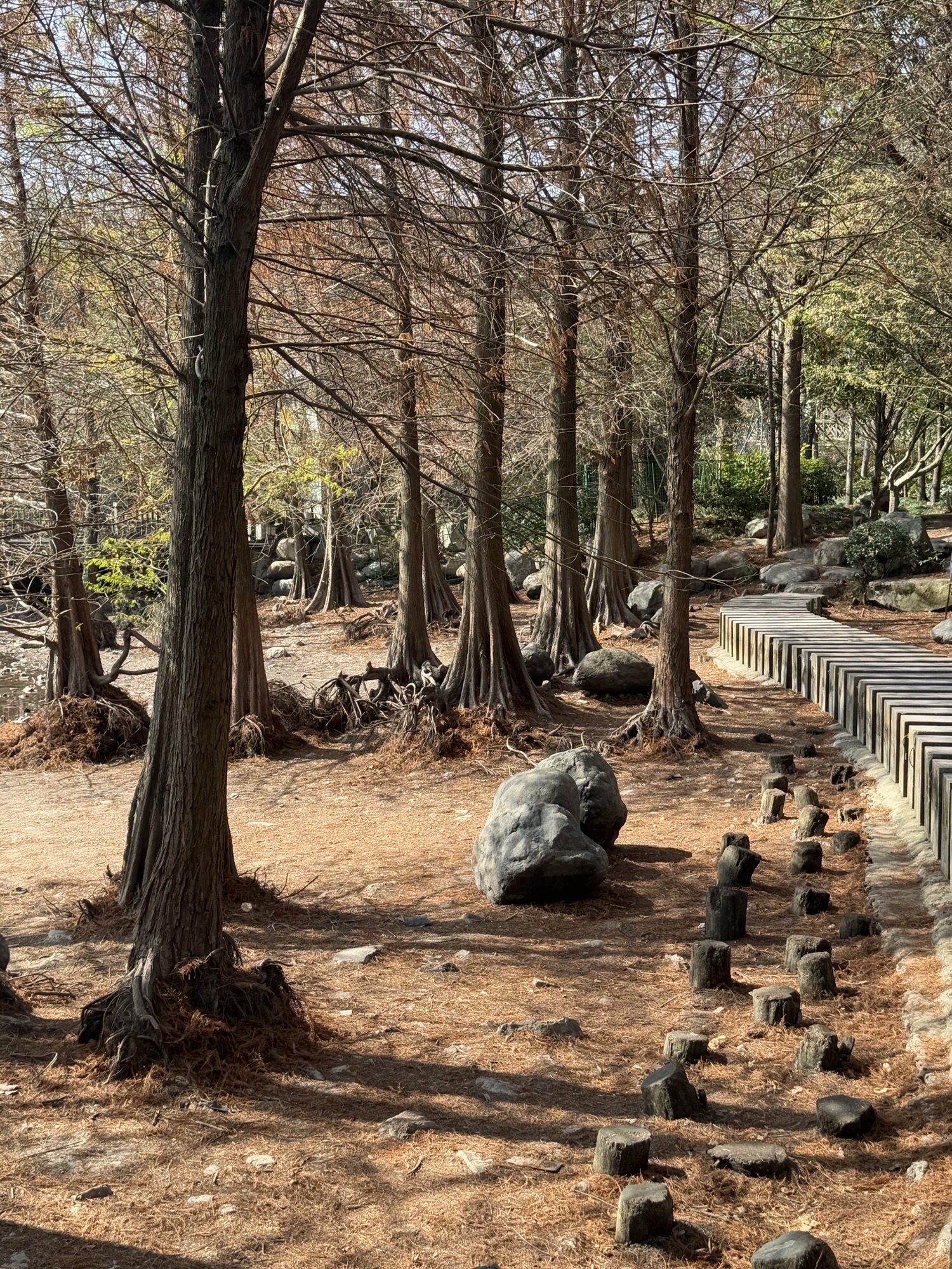 中央山公园旅行图片 2