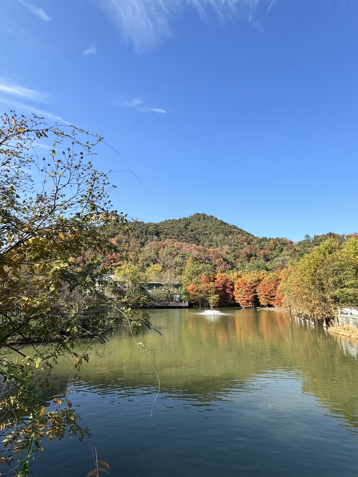 中央山公园旅行图片 2