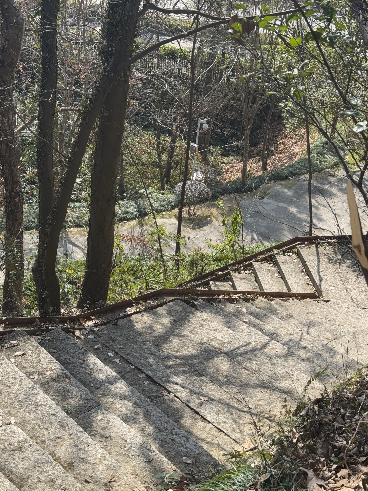 中央山公园旅行图片 1
