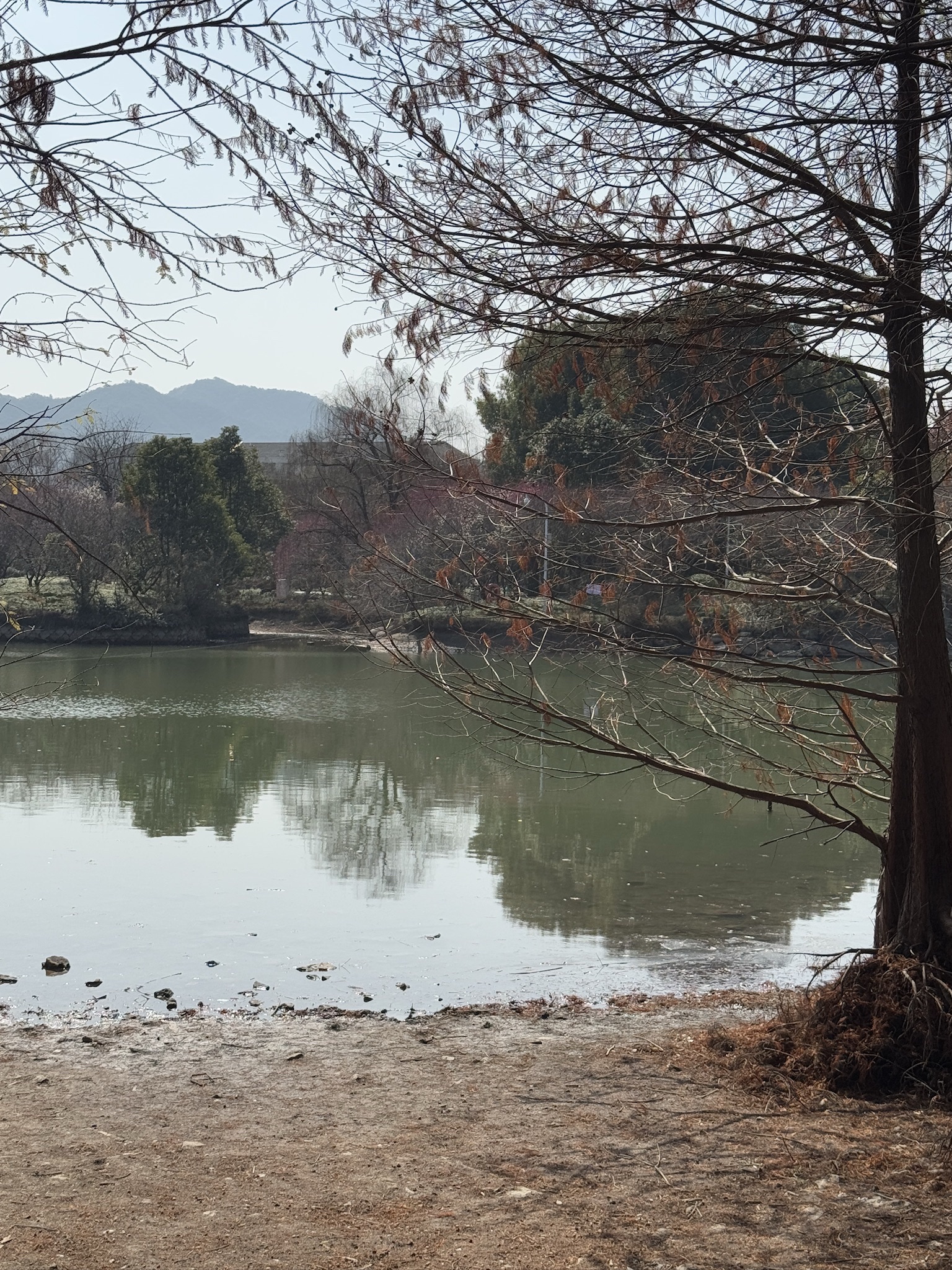 中央山公园旅行图片 3
