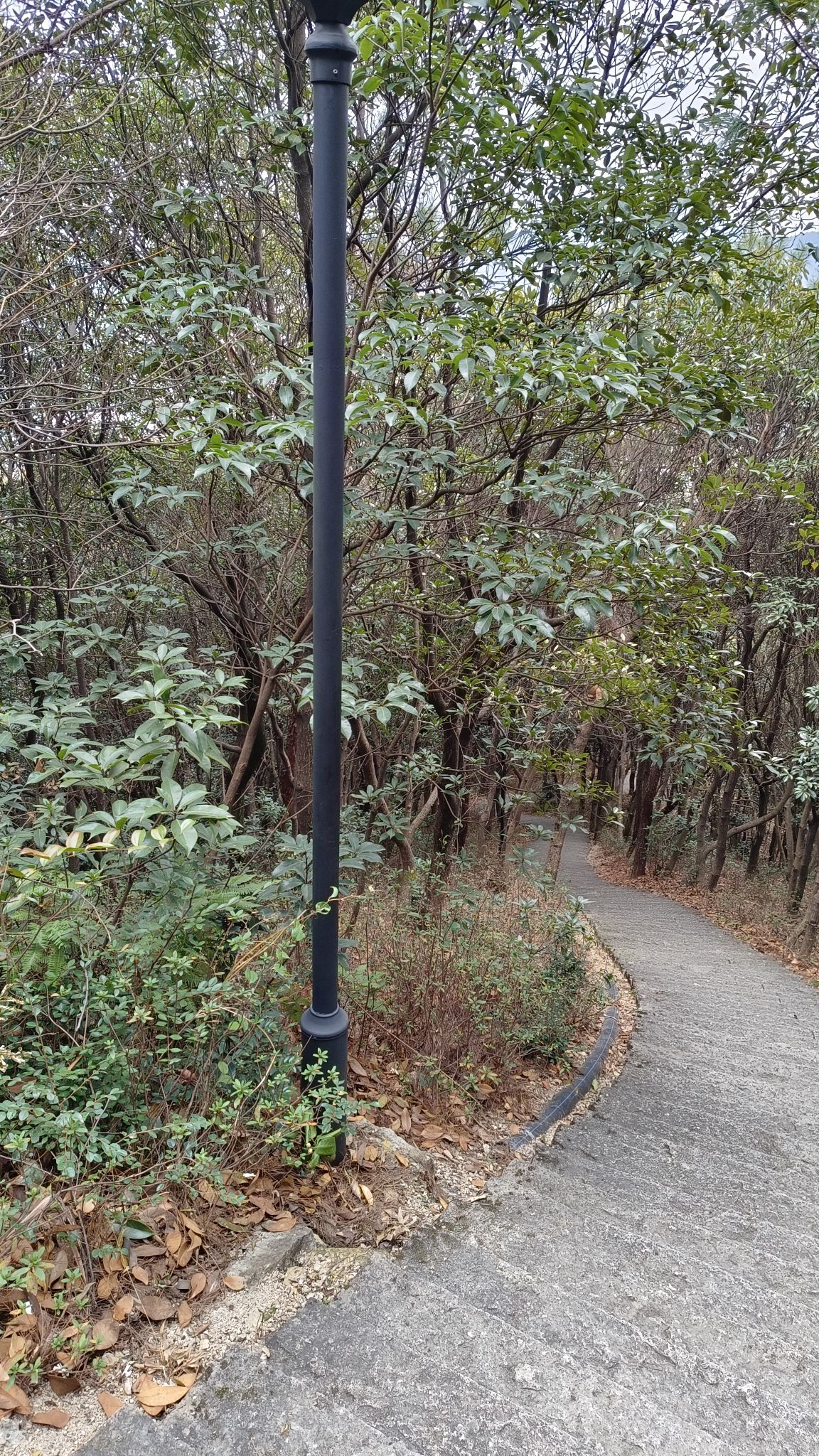 中央山公园旅行图片 3