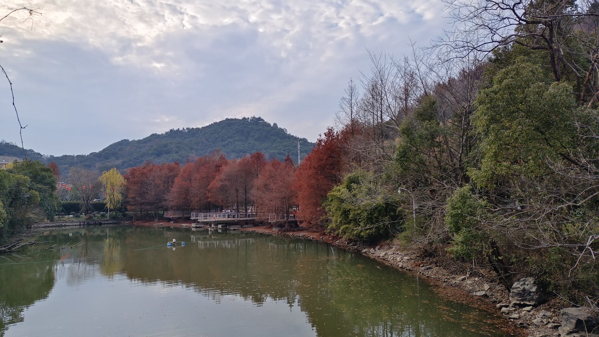 中央山公园旅行图片 1