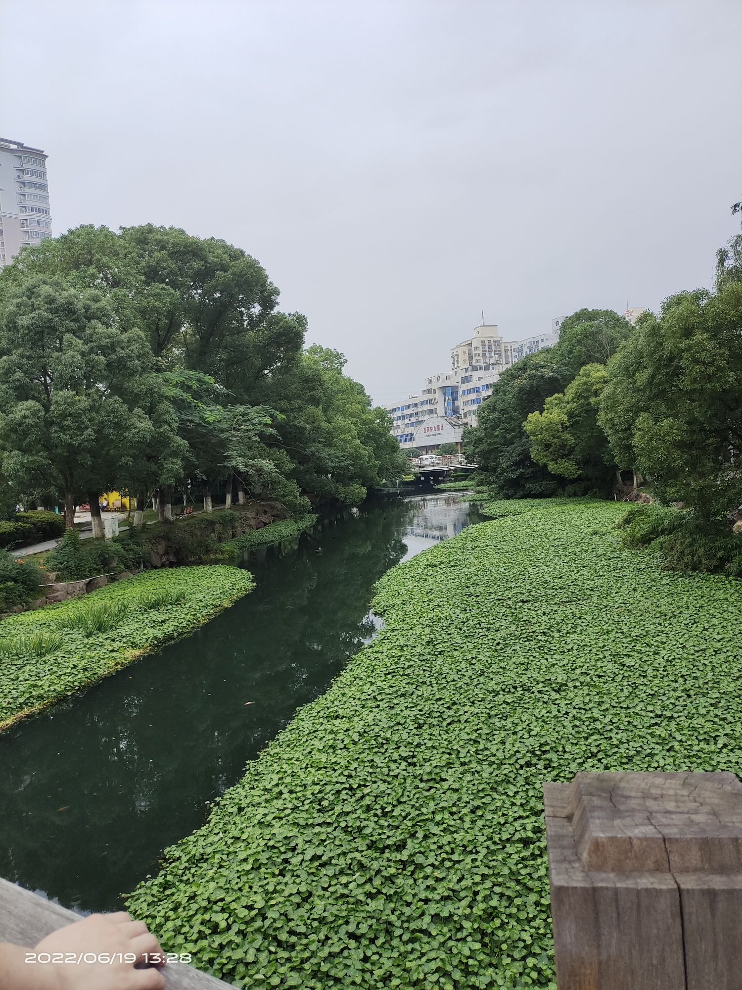 玉环公园旅行图片 1