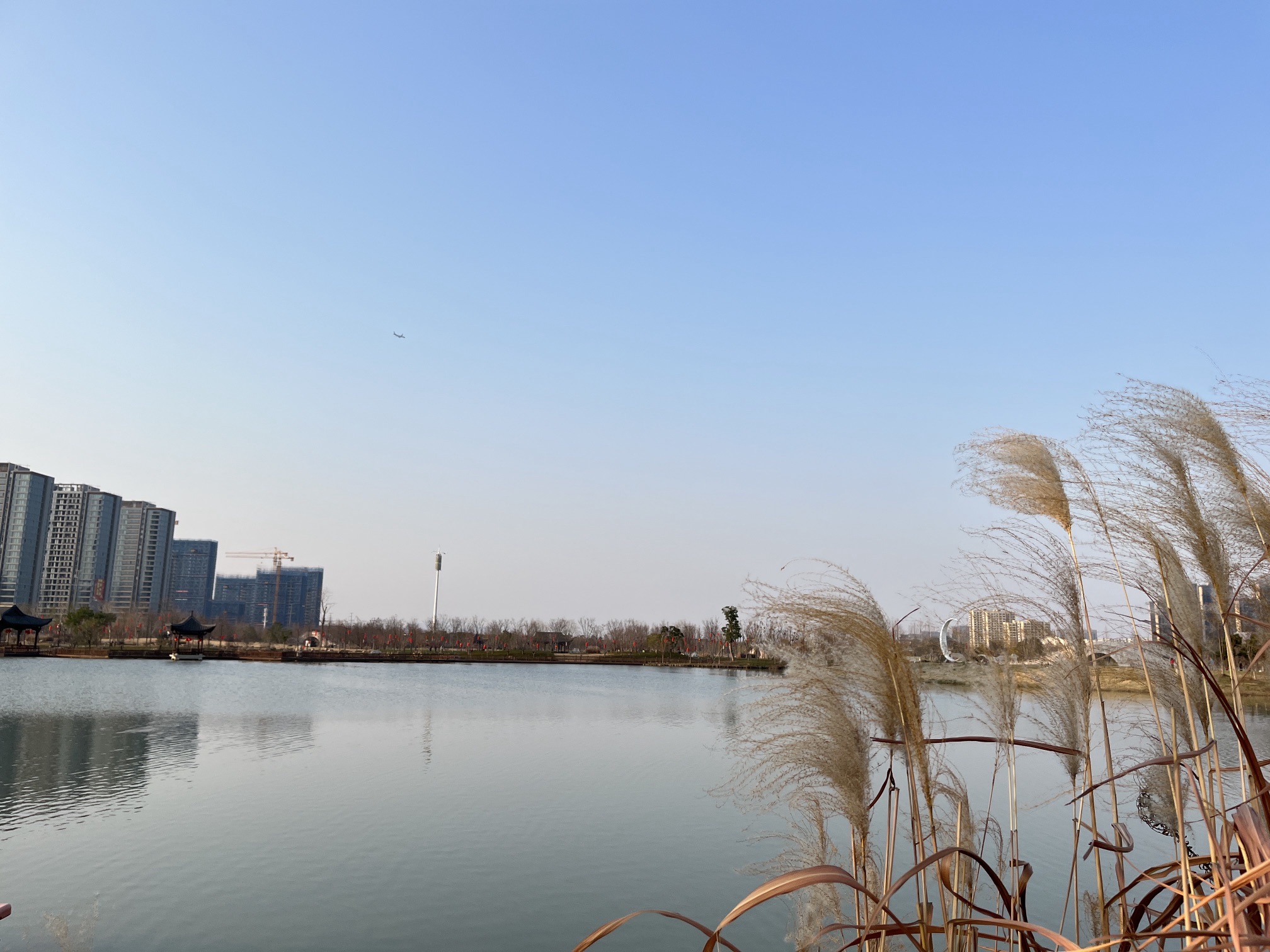 九龙湖国家湿地公园旅行图片 1