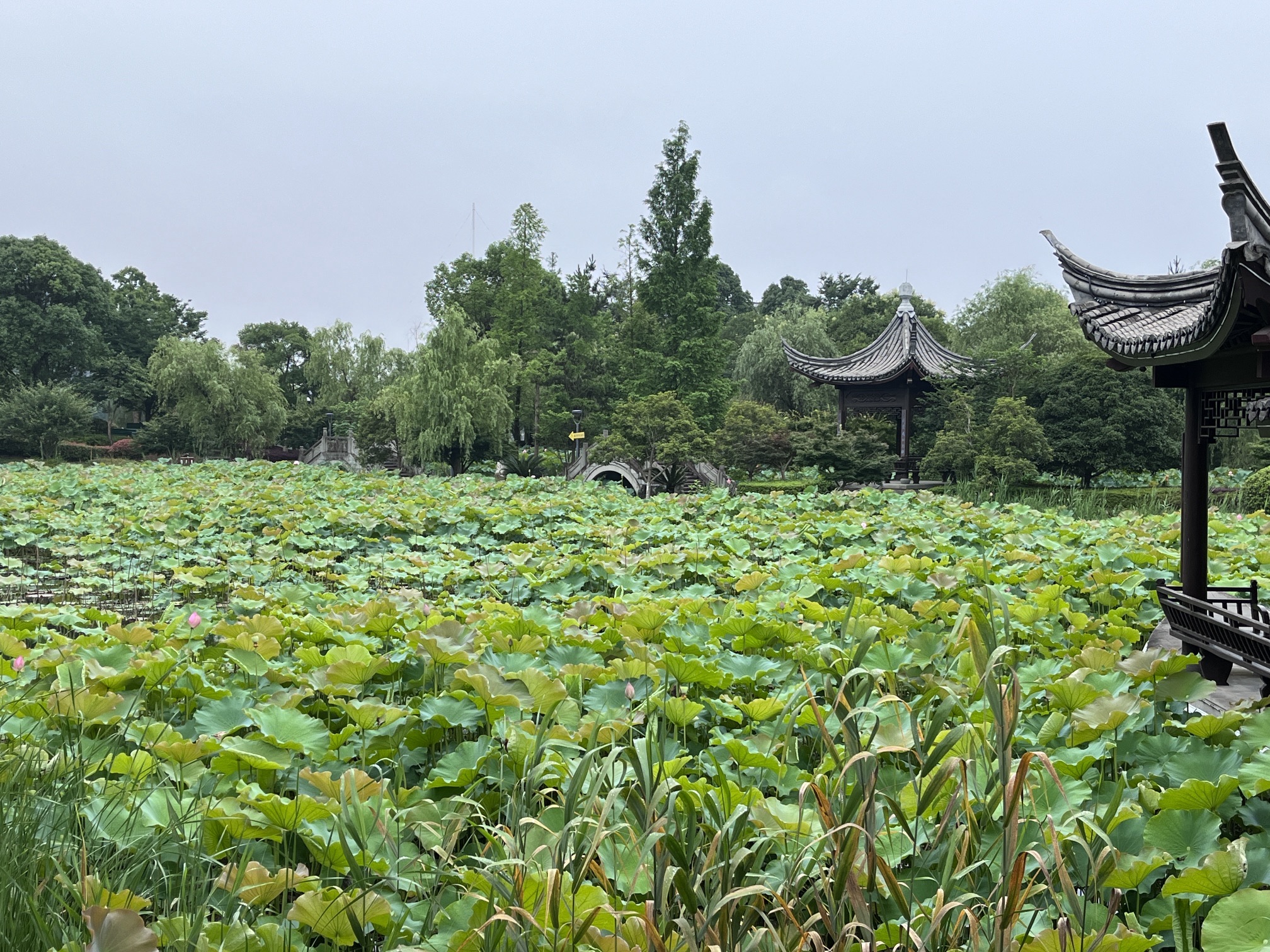 灵湖景区旅行图片 2