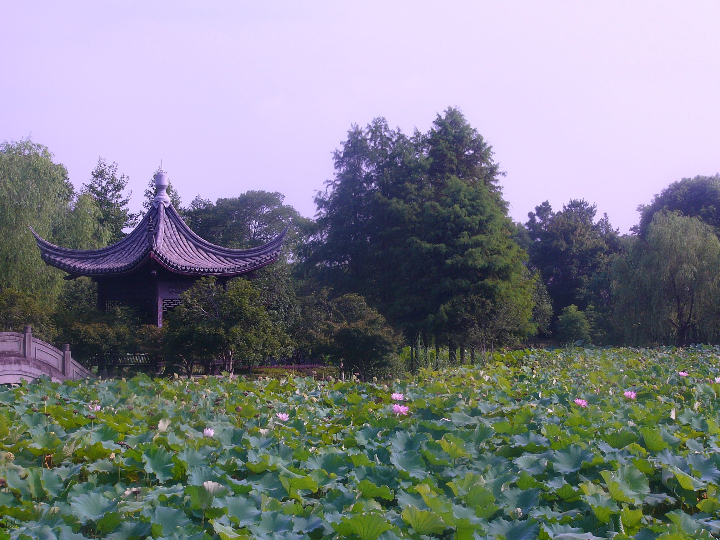 灵湖景区旅行图片 3