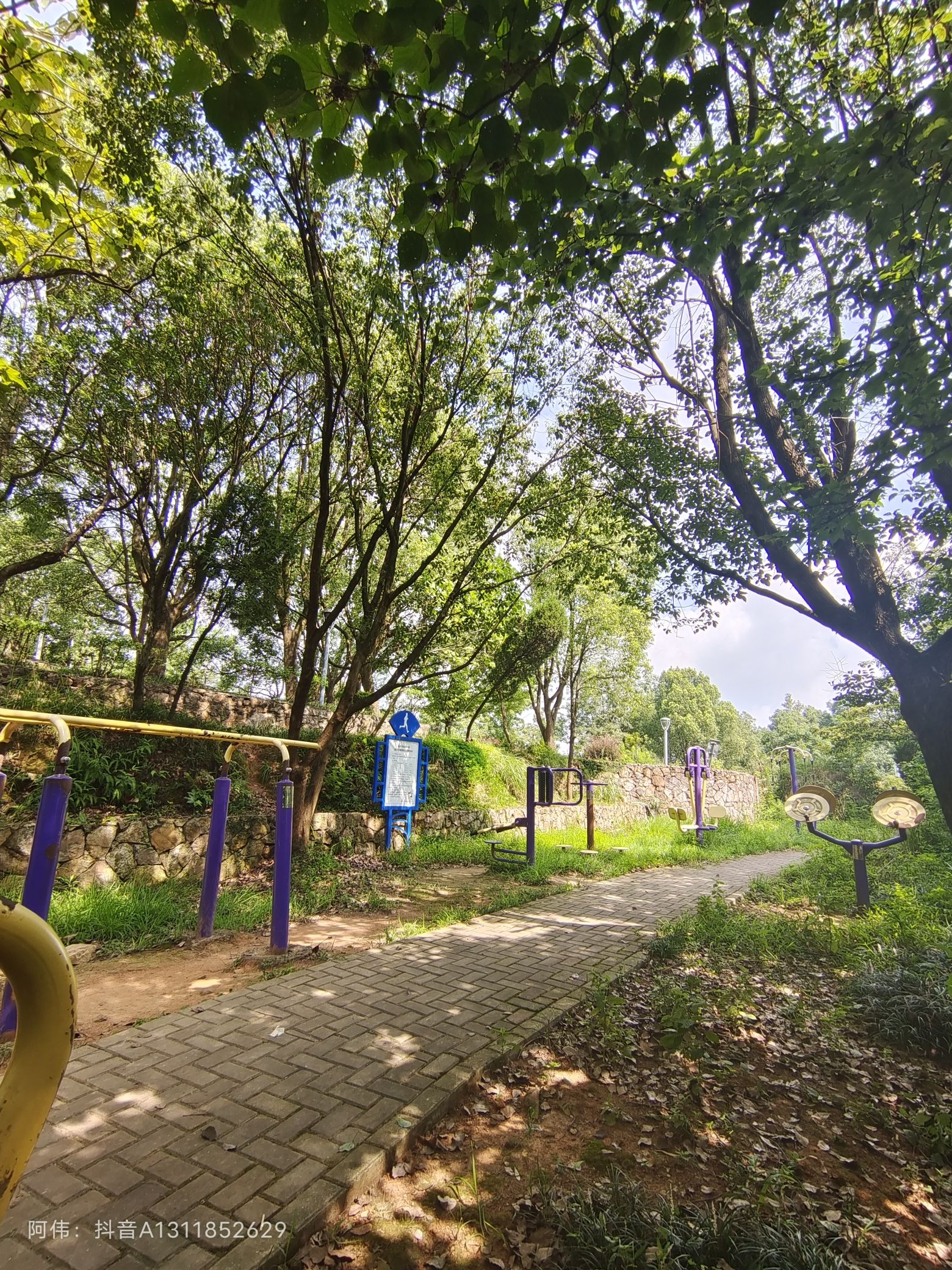 磊石公园旅行图片 3