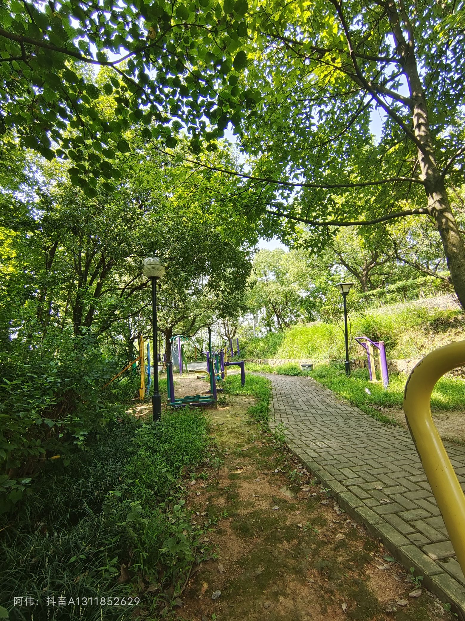 磊石公园旅行图片 2