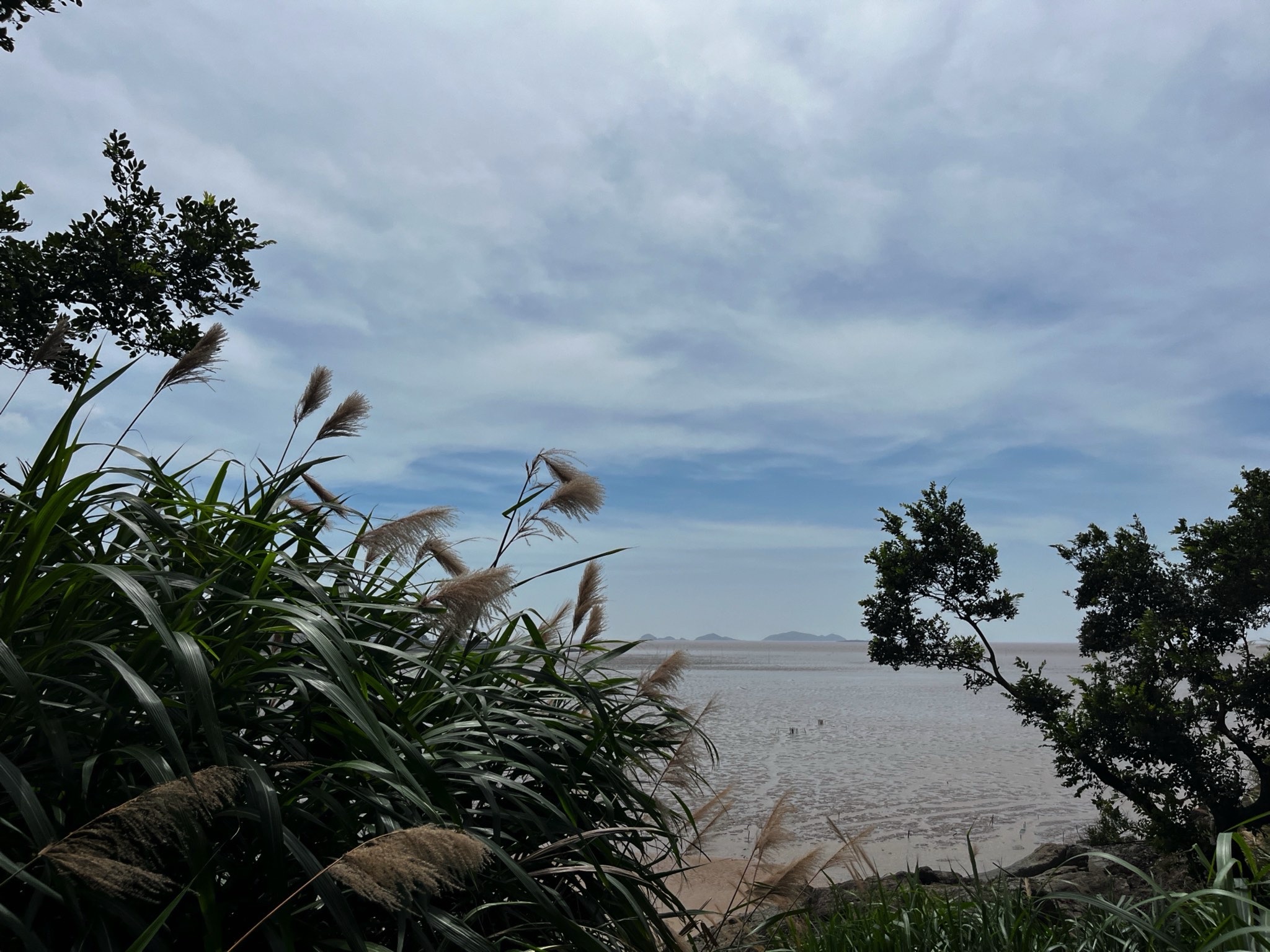 木杓金沙旅行图片 1