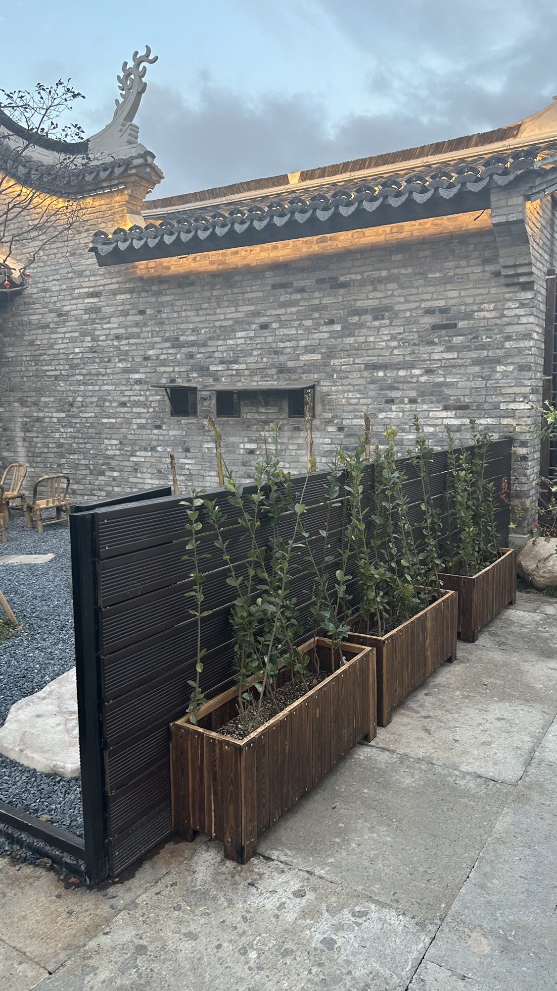 路桥十里长街旅行图片 2