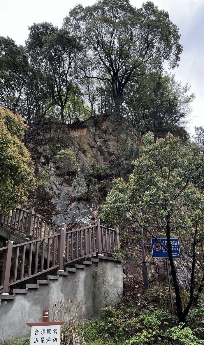 黄石公园旅行图片 1