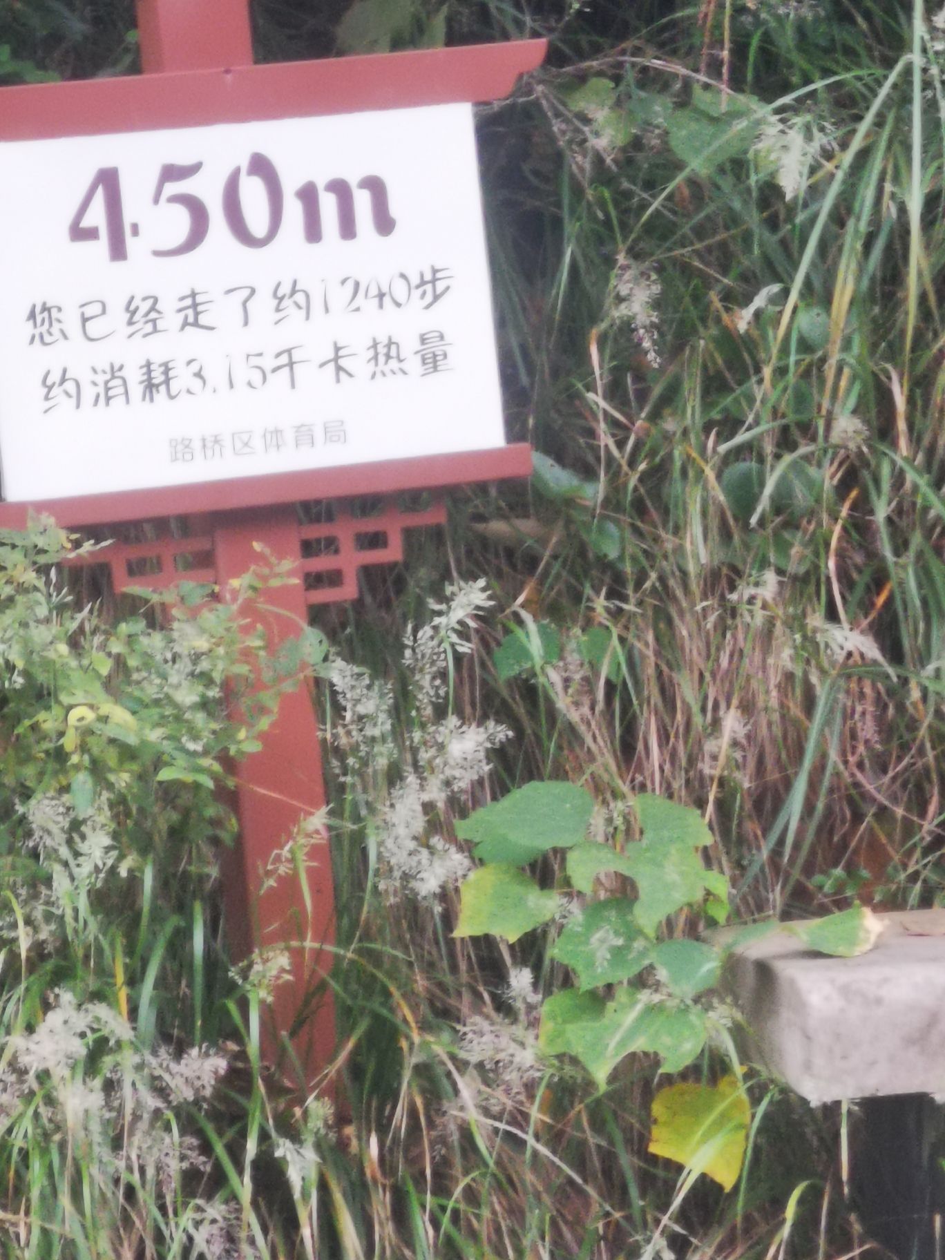 黄石公园旅行图片 2