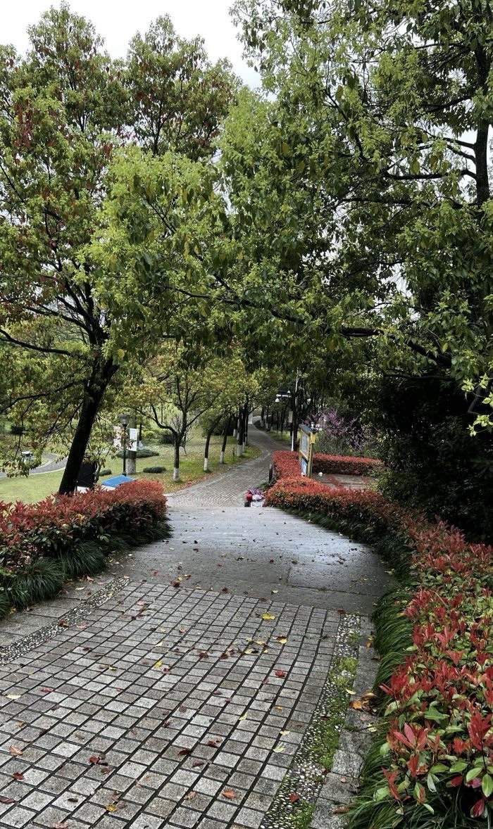 黄石公园旅行图片 2