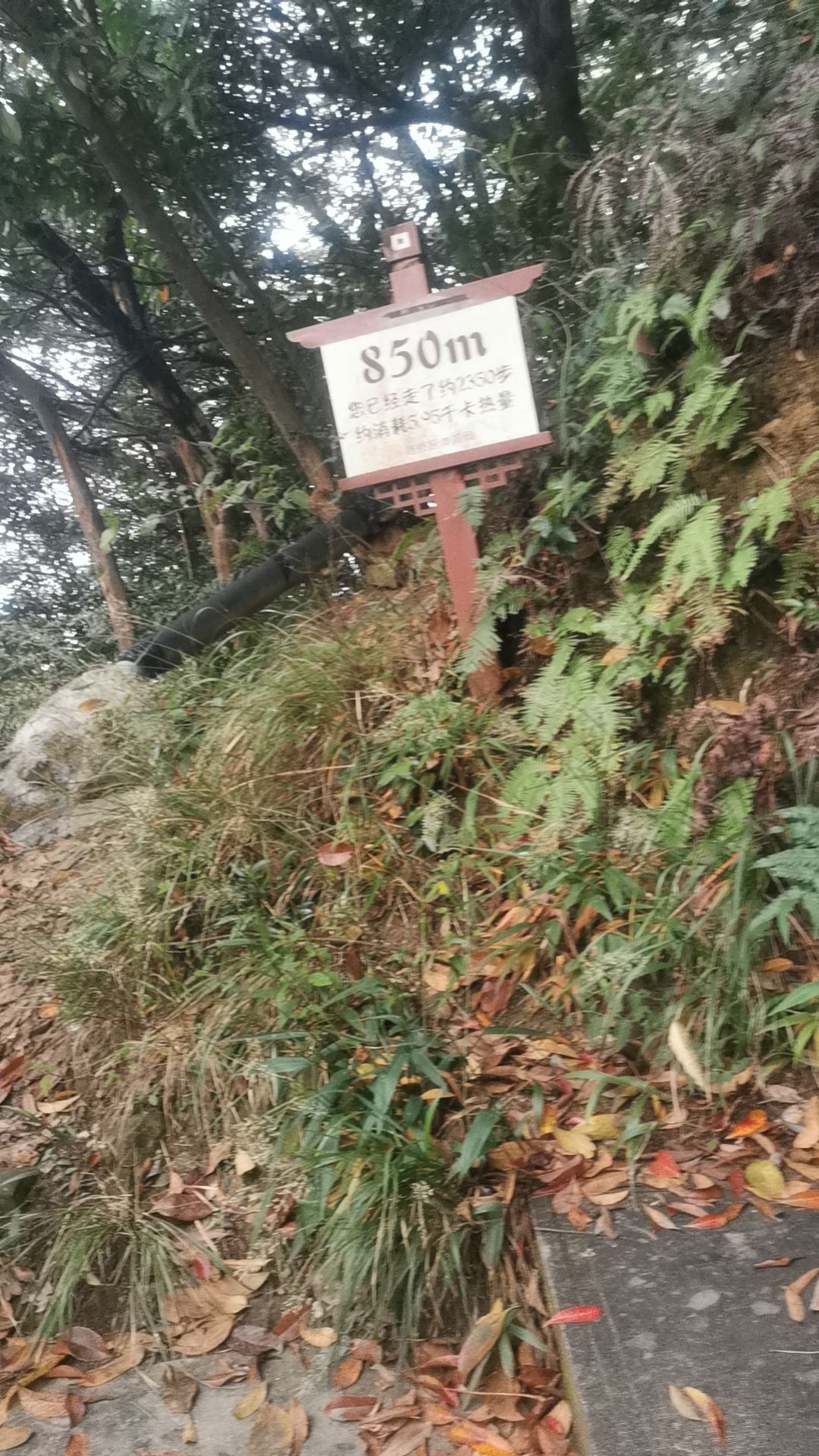 黄石公园旅行图片 1