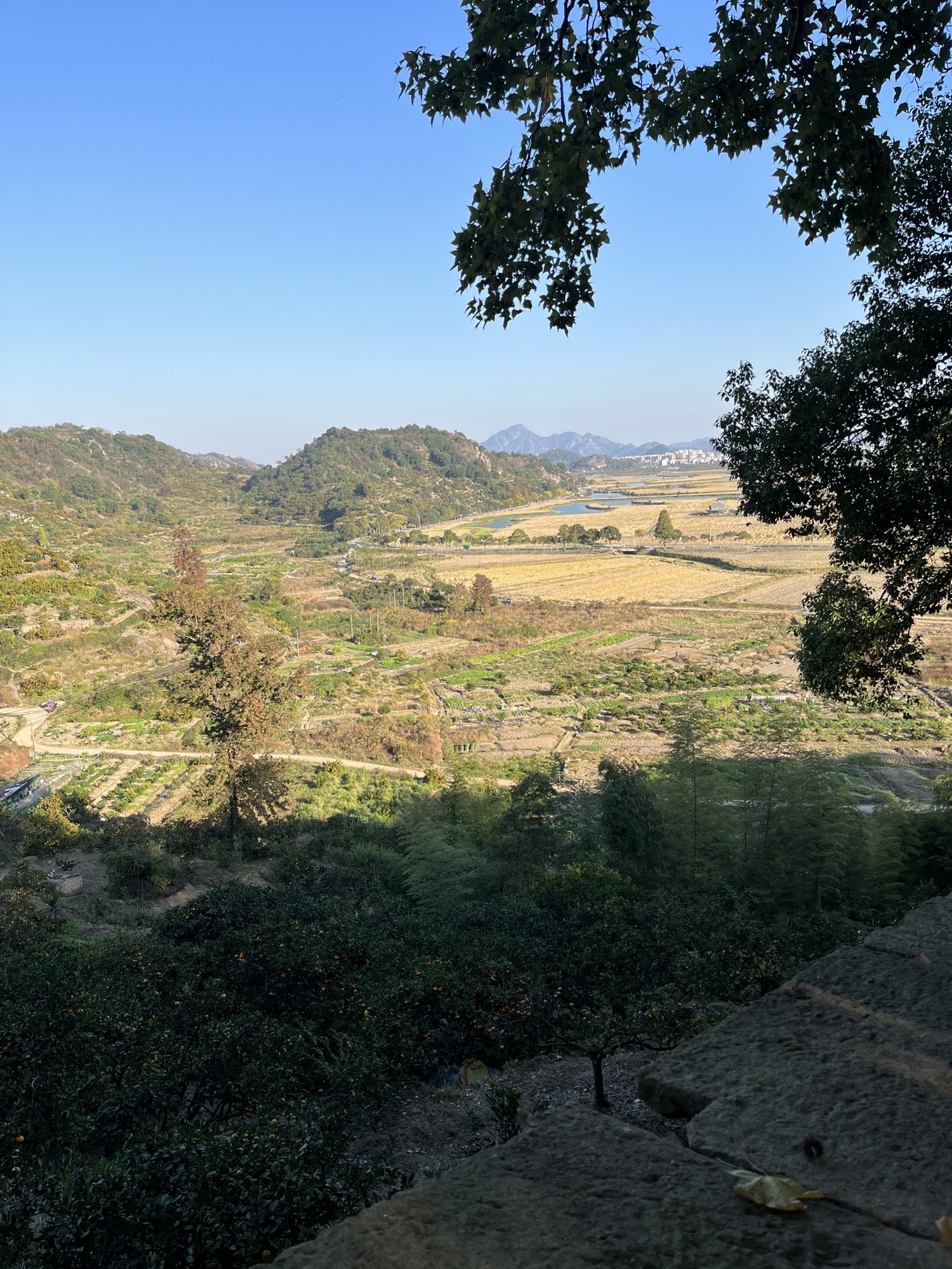桃渚古城风景区旅行图片 2