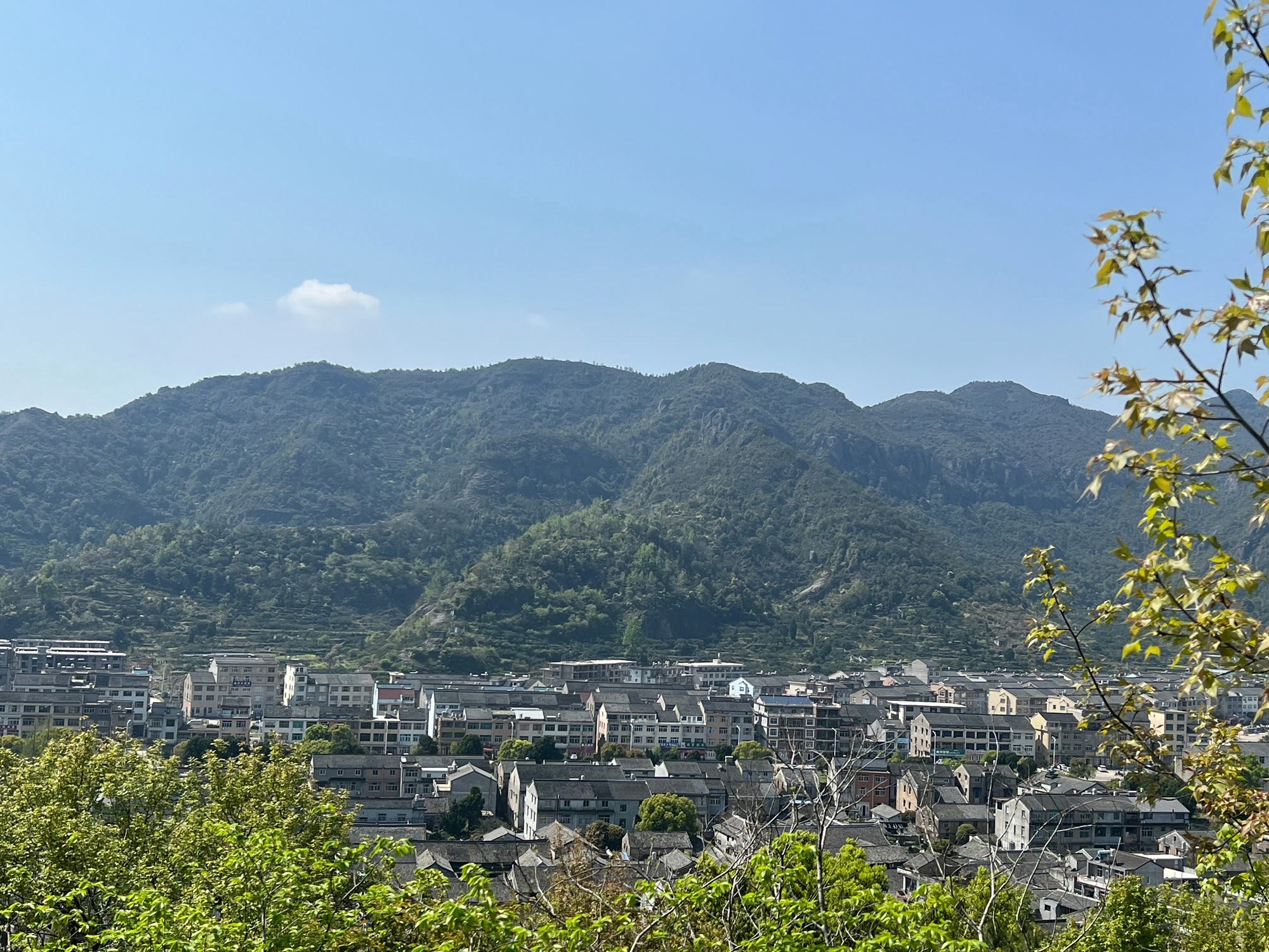 桃渚古城风景区旅行图片 1