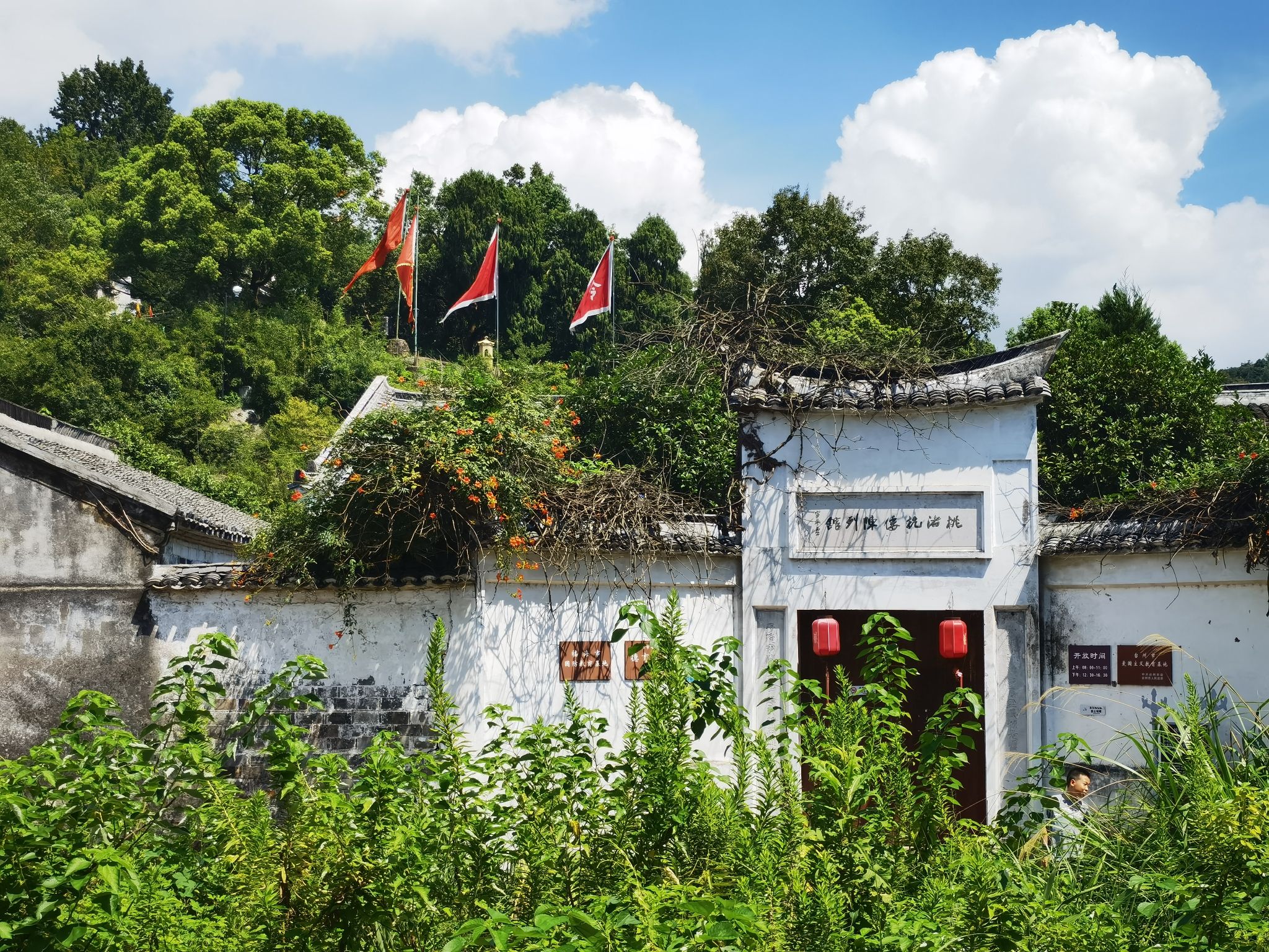 桃渚古城风景区旅行图片 3