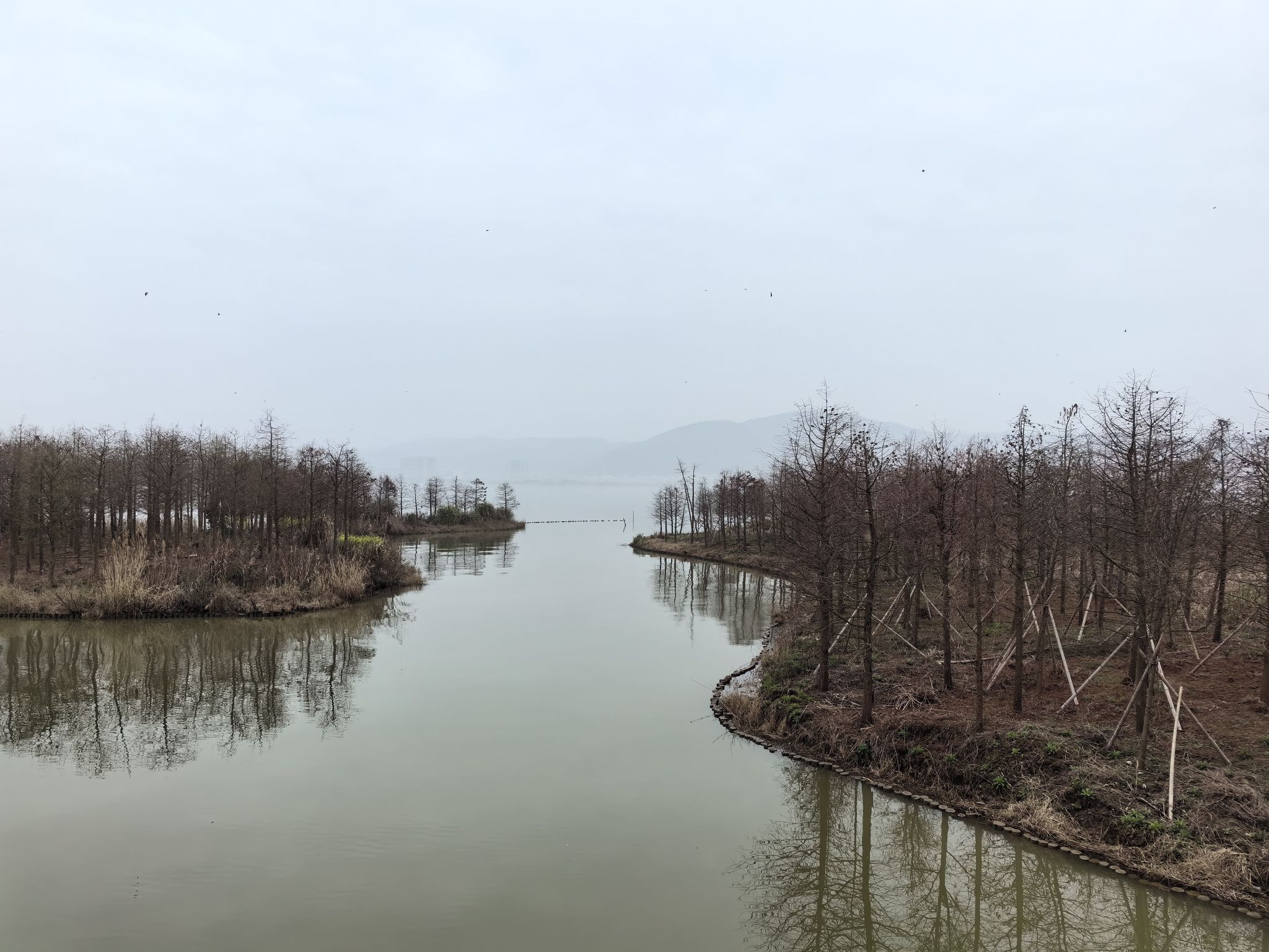 漩门湾国家湿地公园旅行图片 2