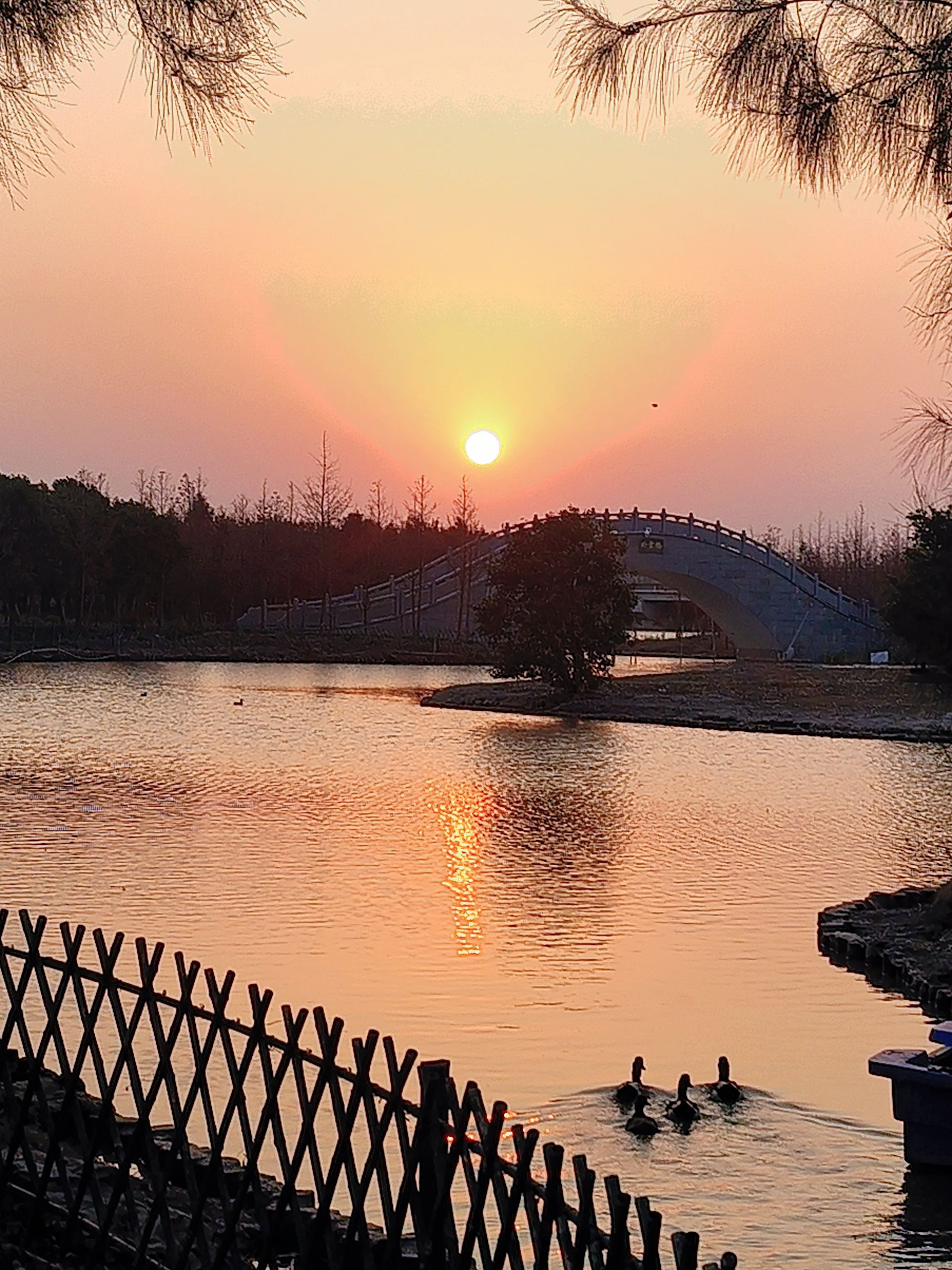 漩门湾国家湿地公园旅行图片 2