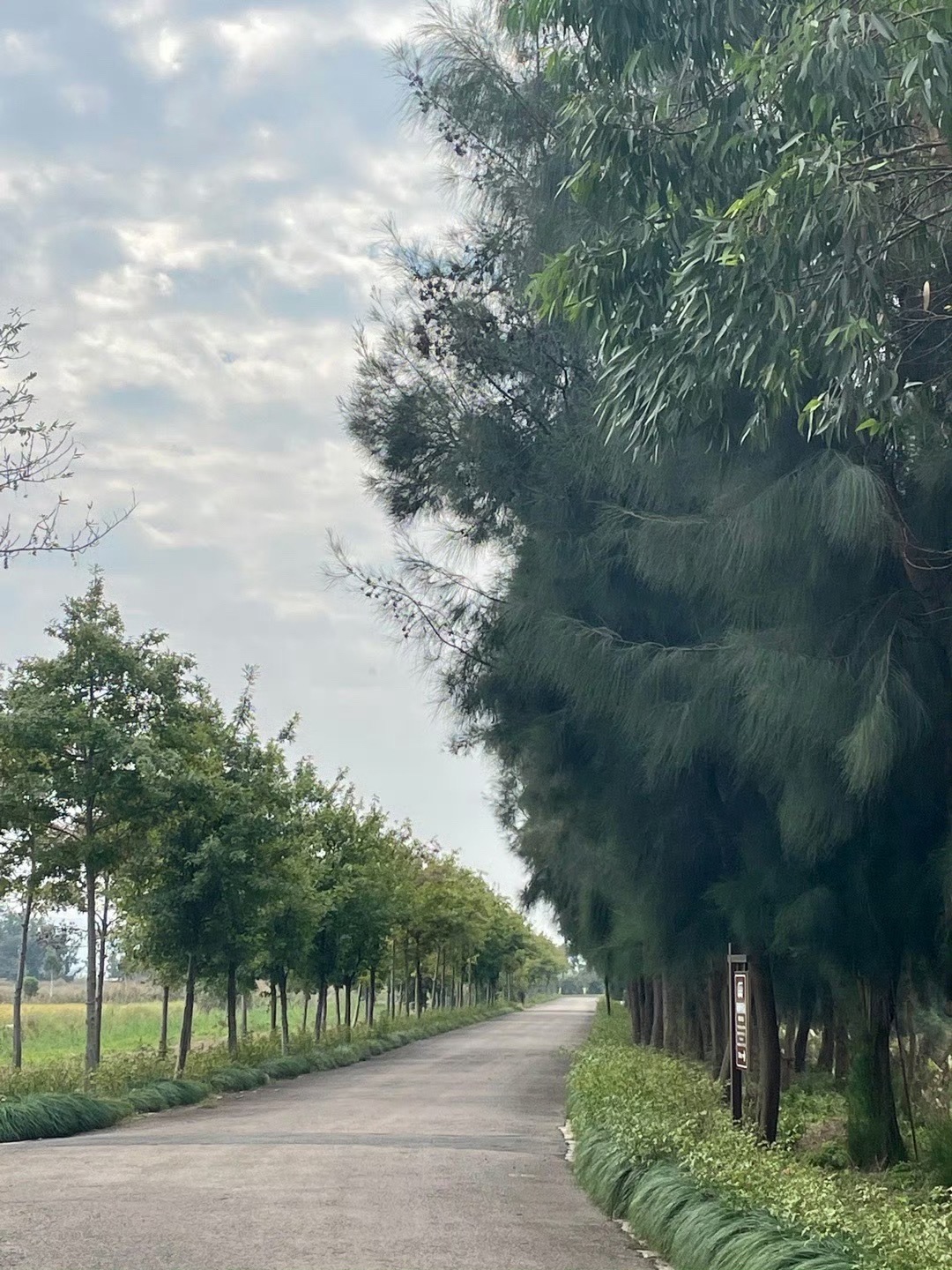 漩门湾国家湿地公园旅行图片 3