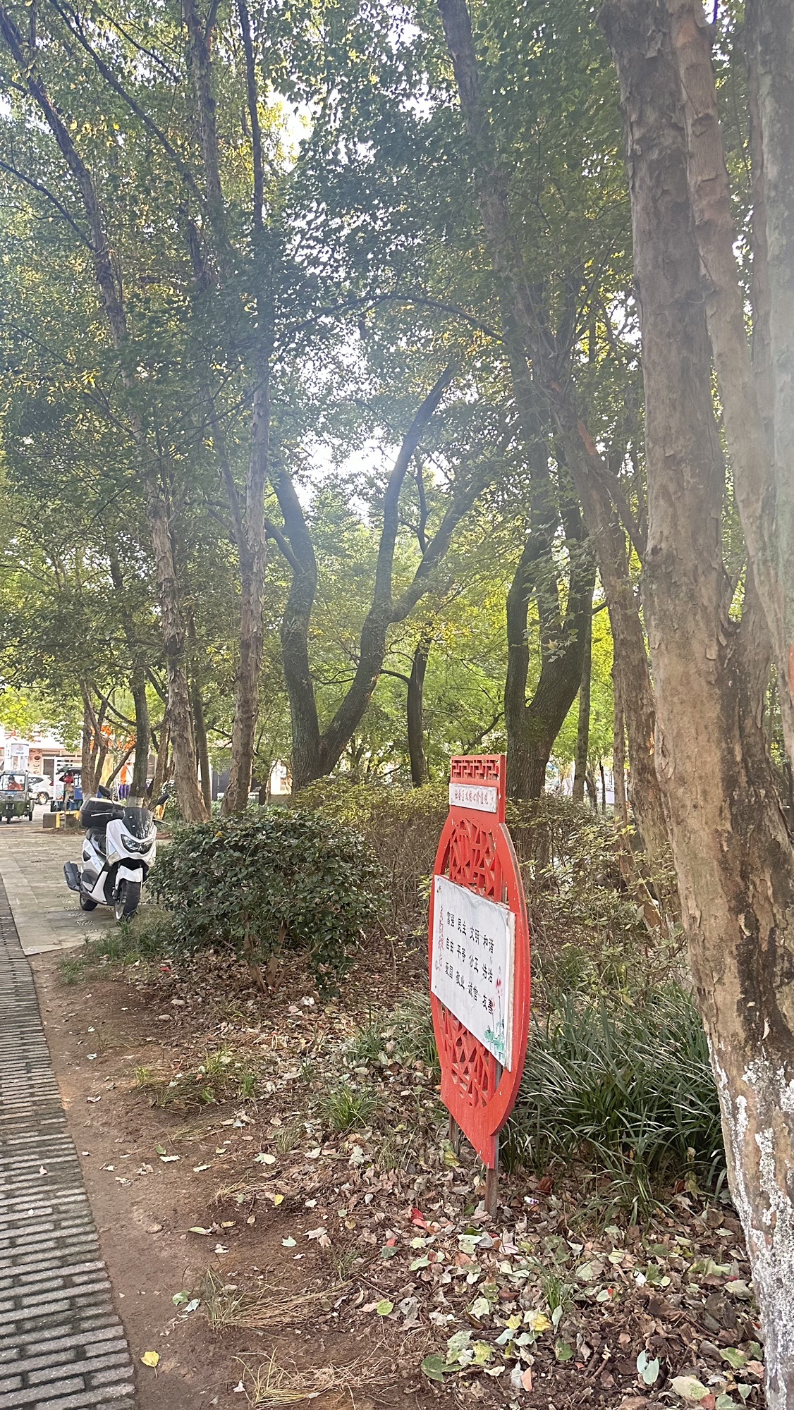 街心公园旅行图片 2