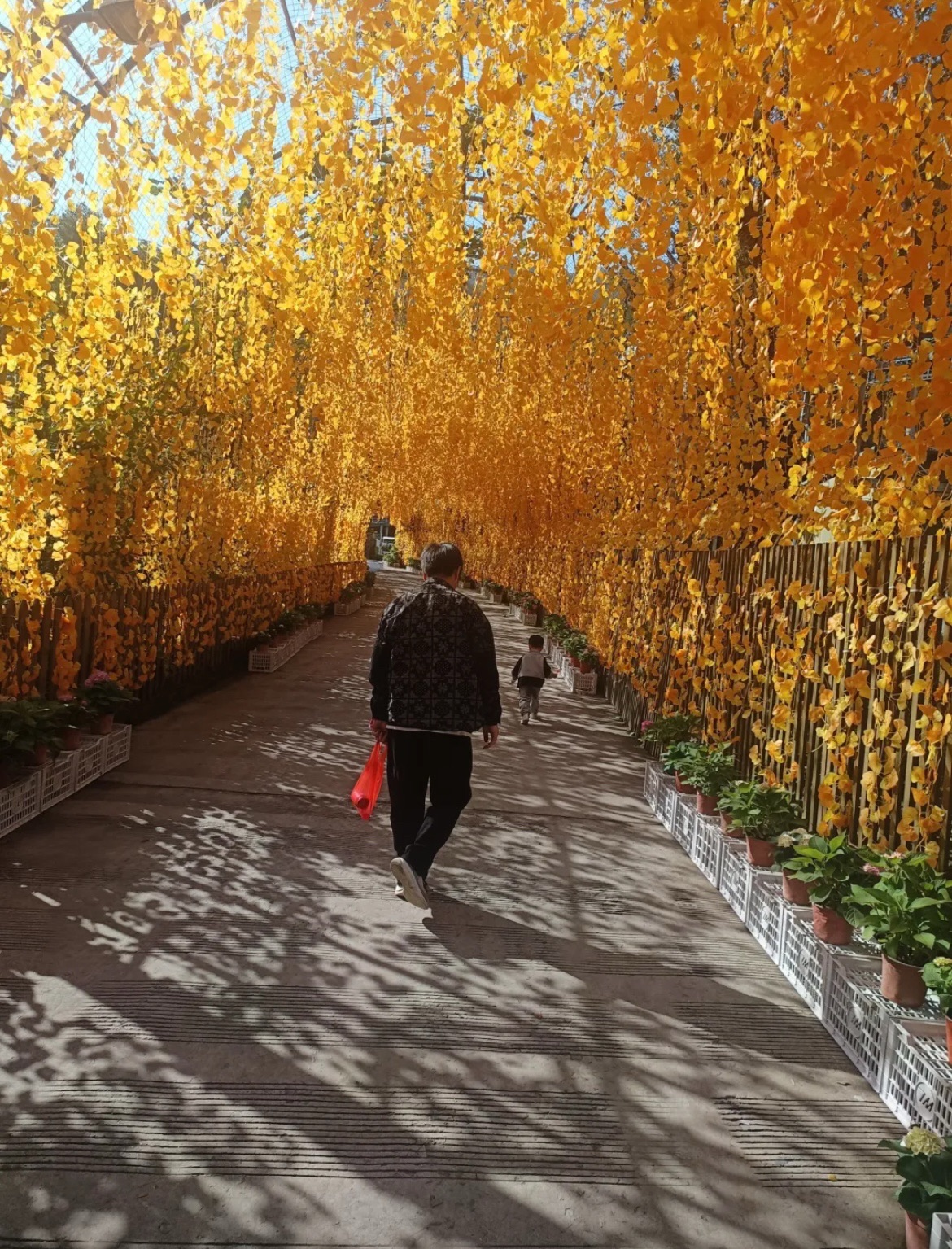 吹台山森林公园旅行图片 1