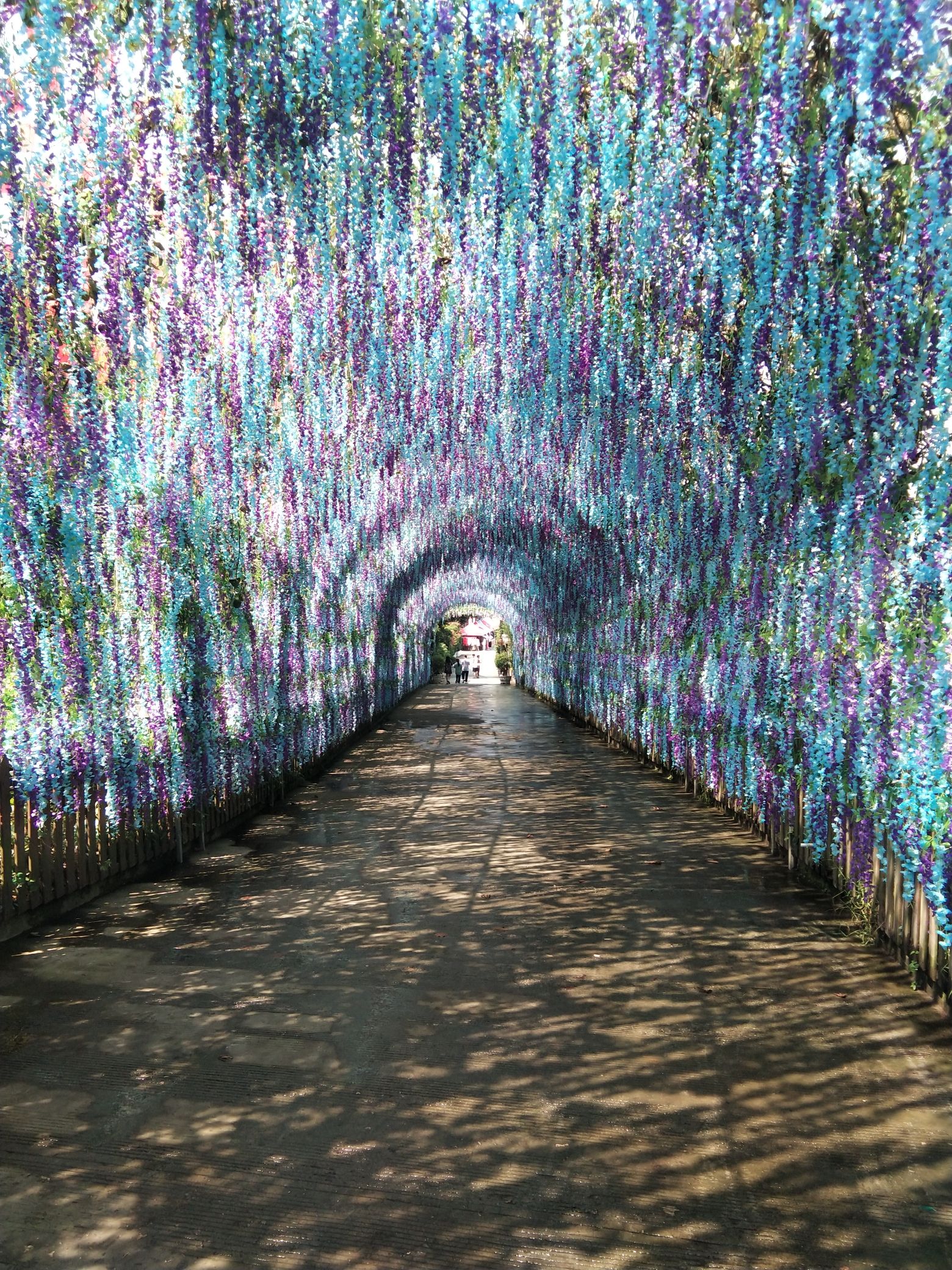 吹台山森林公园旅行图片 2