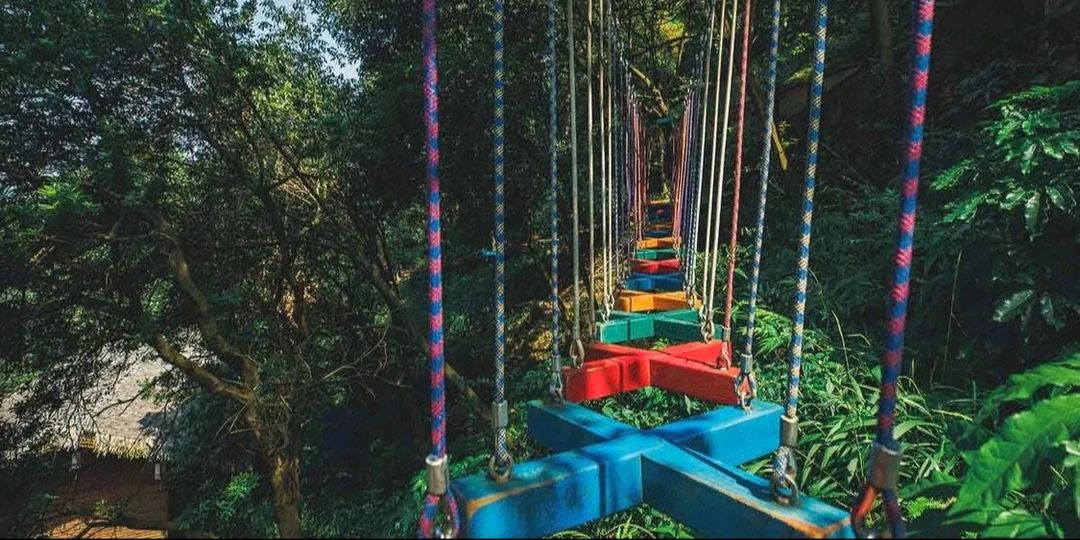 吹台山森林公园旅行图片 3