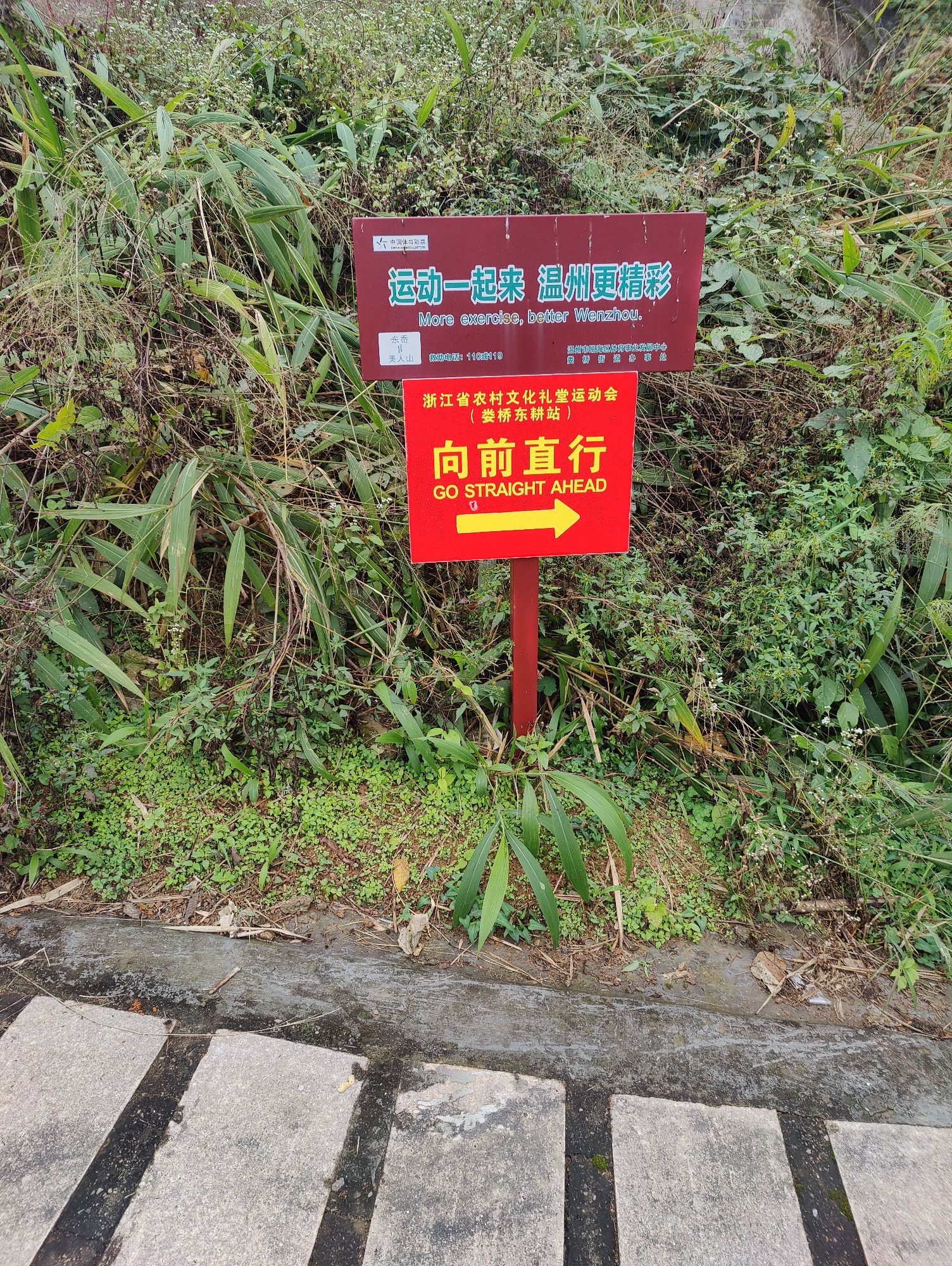 吹台山森林公园旅行图片 2