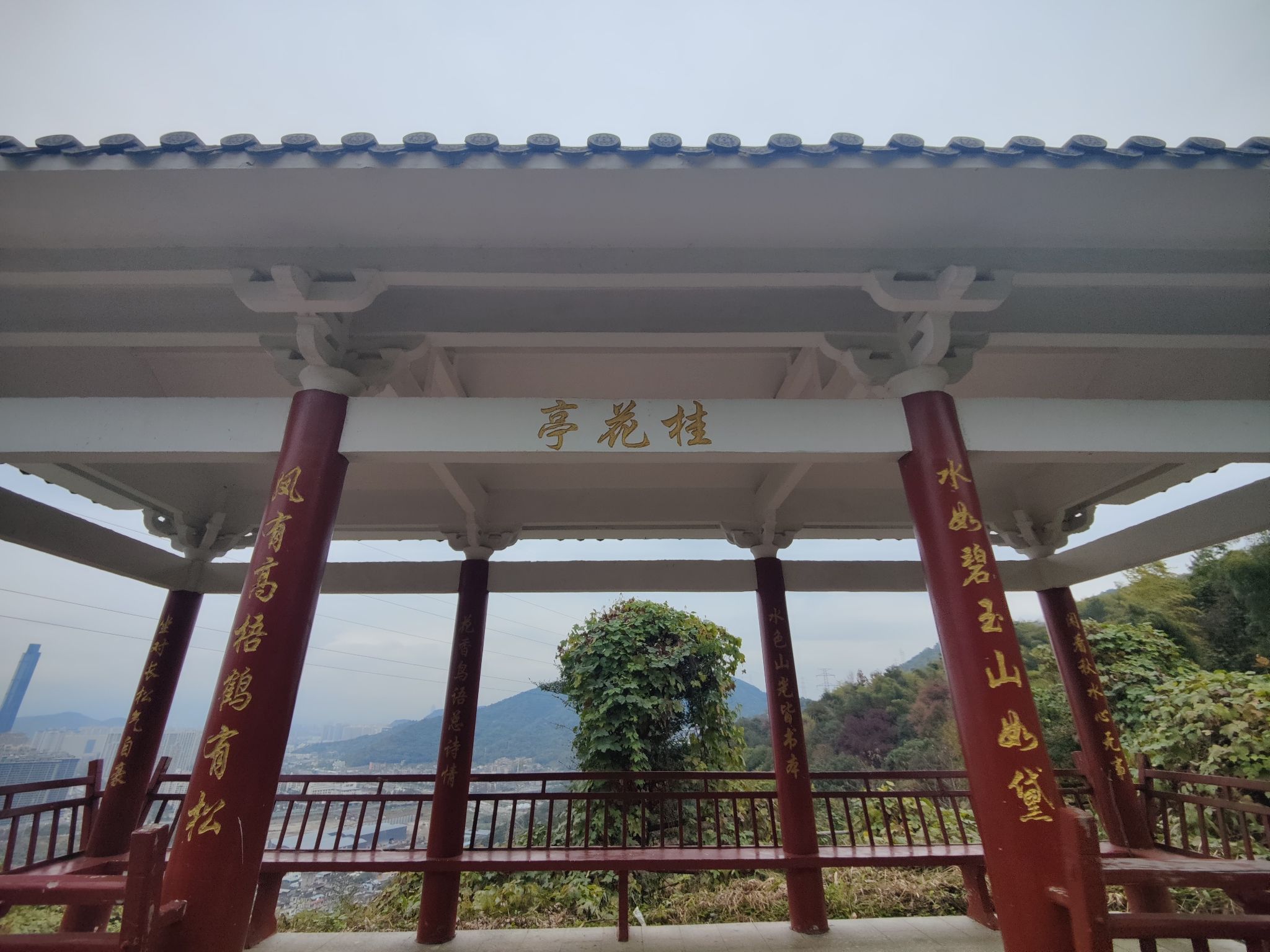 吹台山森林公园旅行图片 3