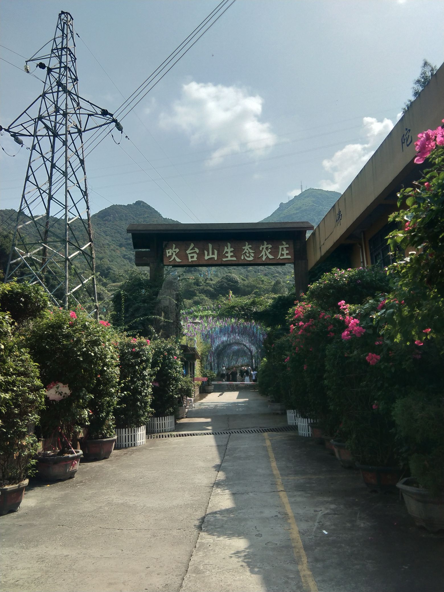吹台山森林公园旅行图片 1