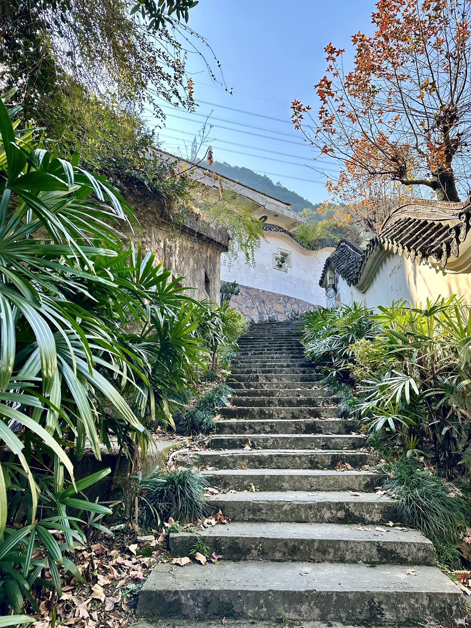 岷岗风景名胜区旅行图片 3