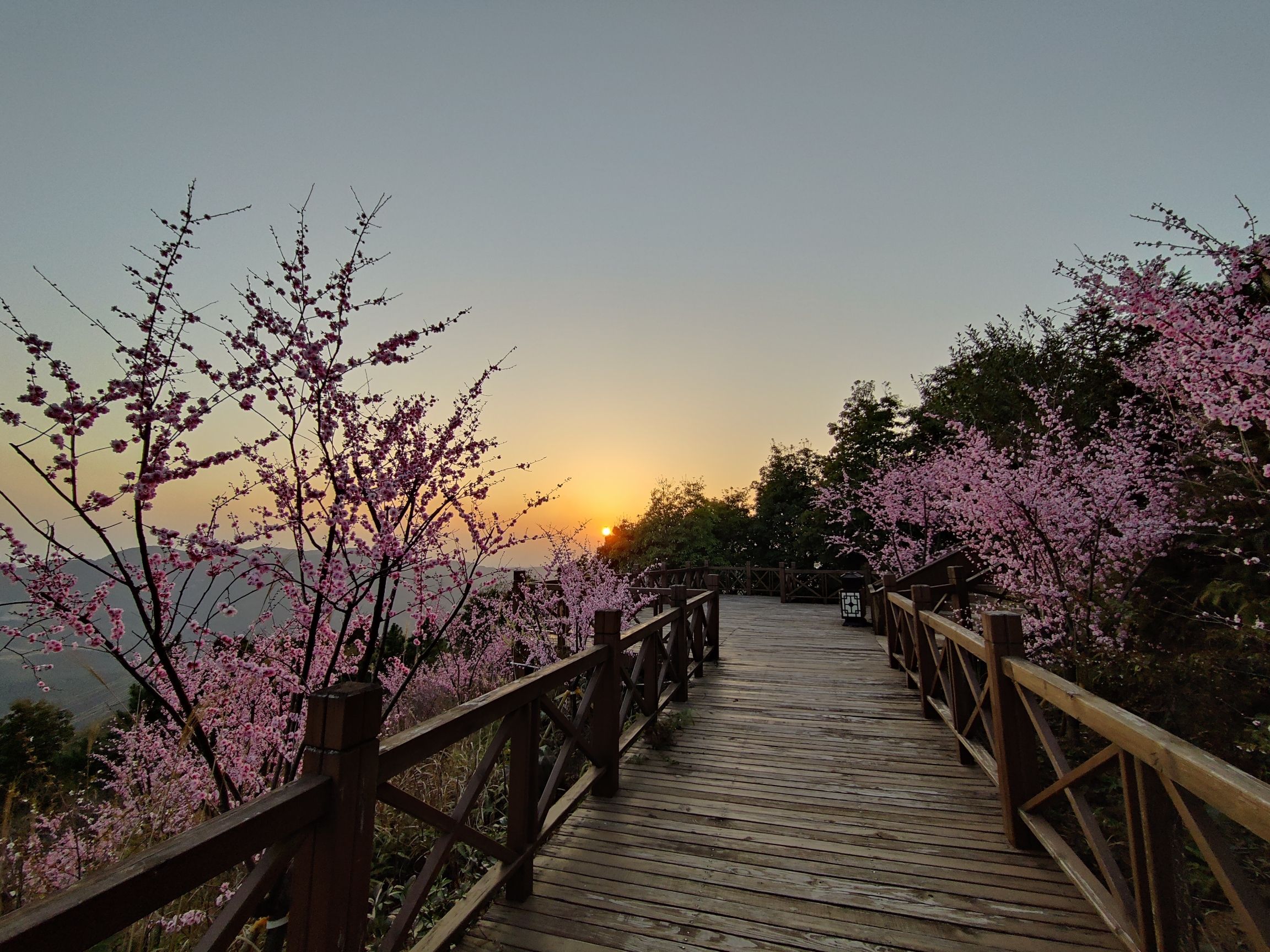 圣井山石殿旅行图片 1