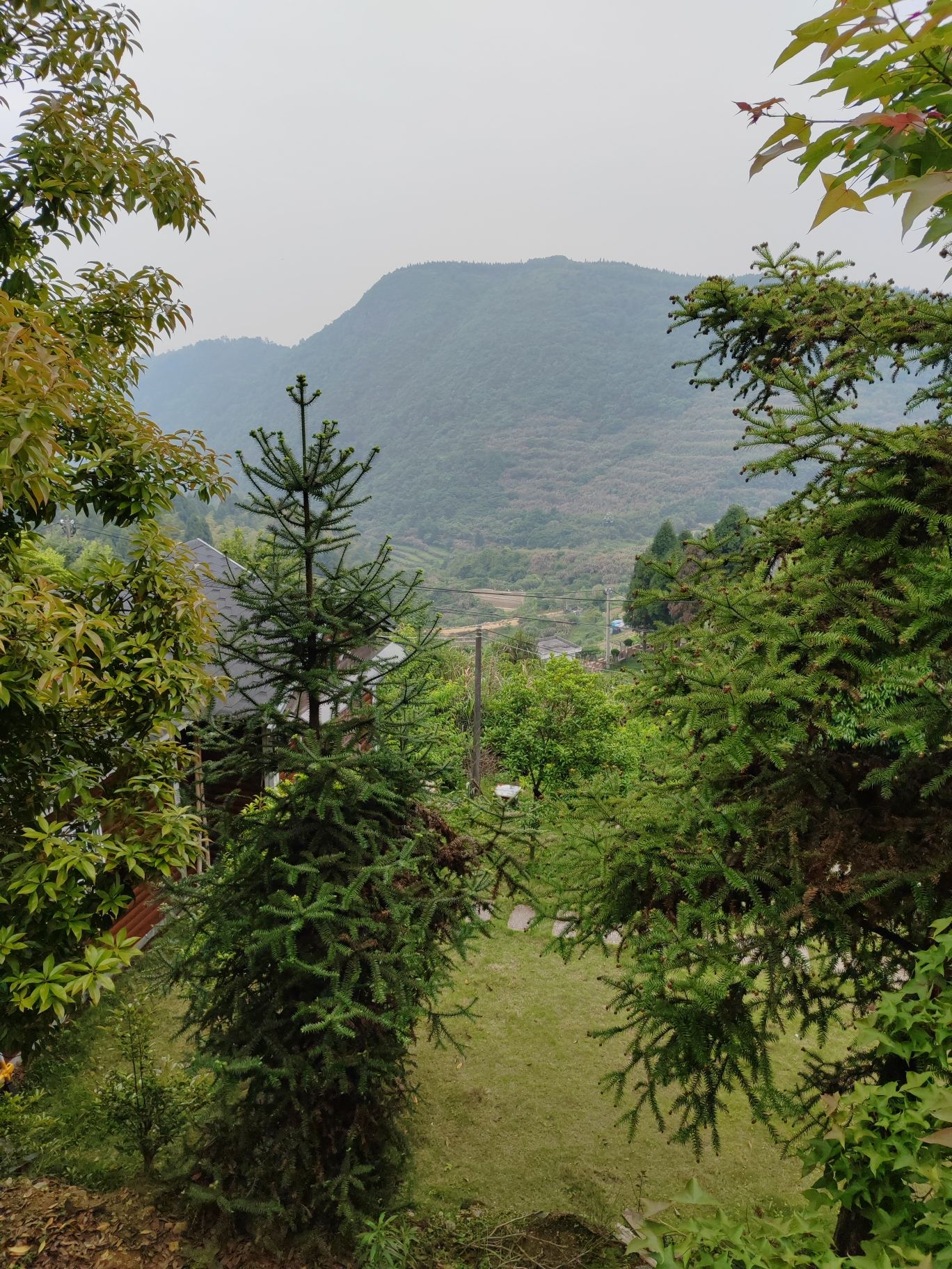 圣井山石殿旅行图片 1