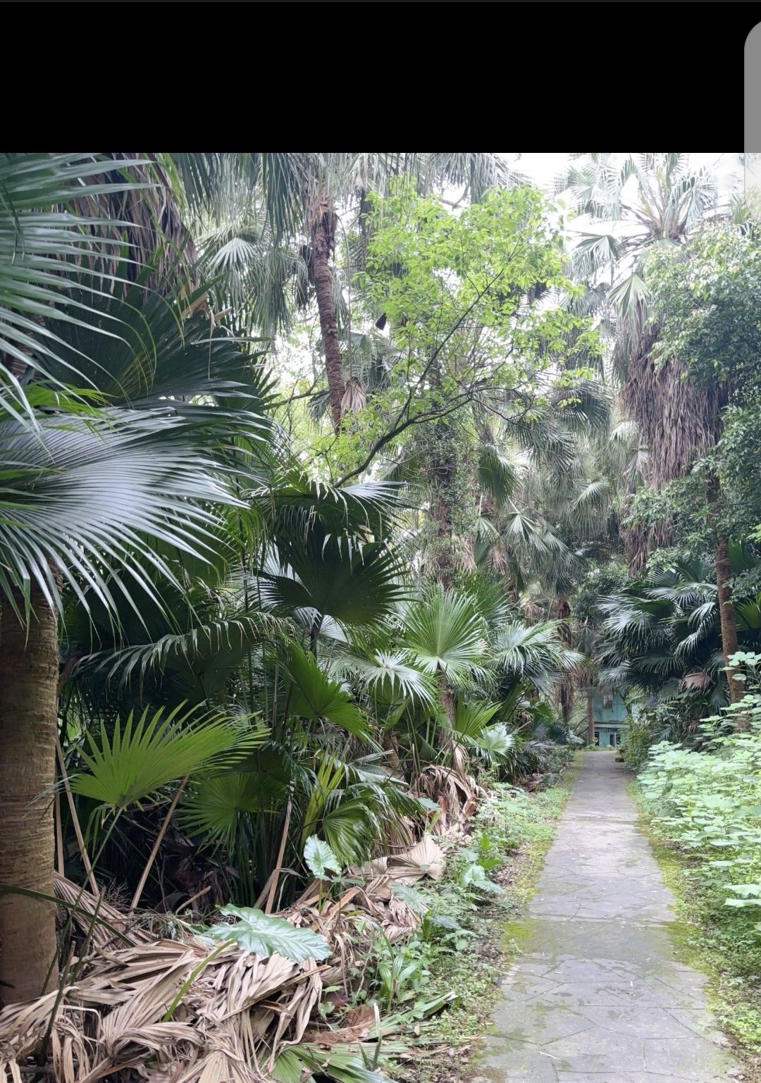 温州植物园旅行图片 3