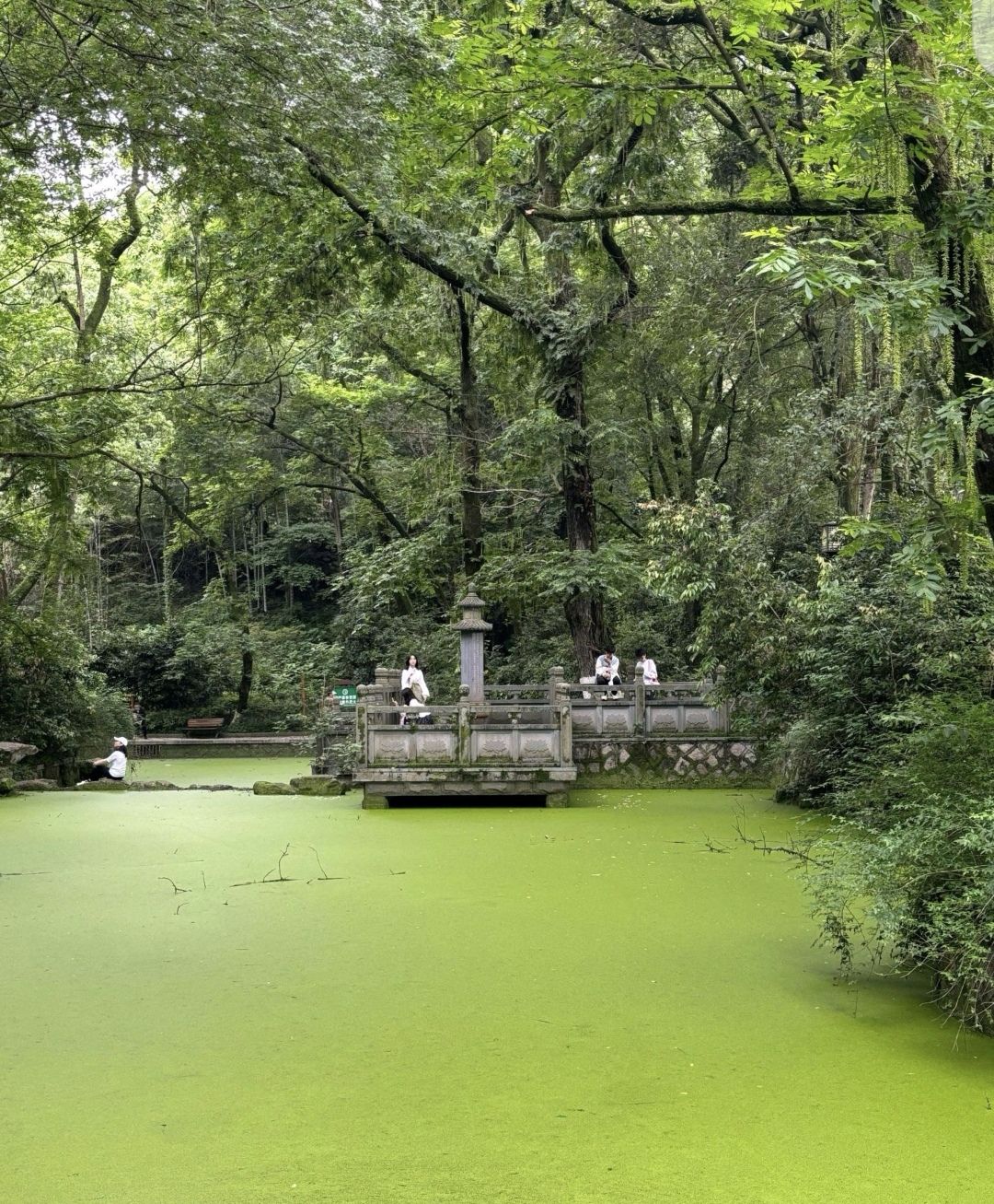 温州植物园旅行图片 2