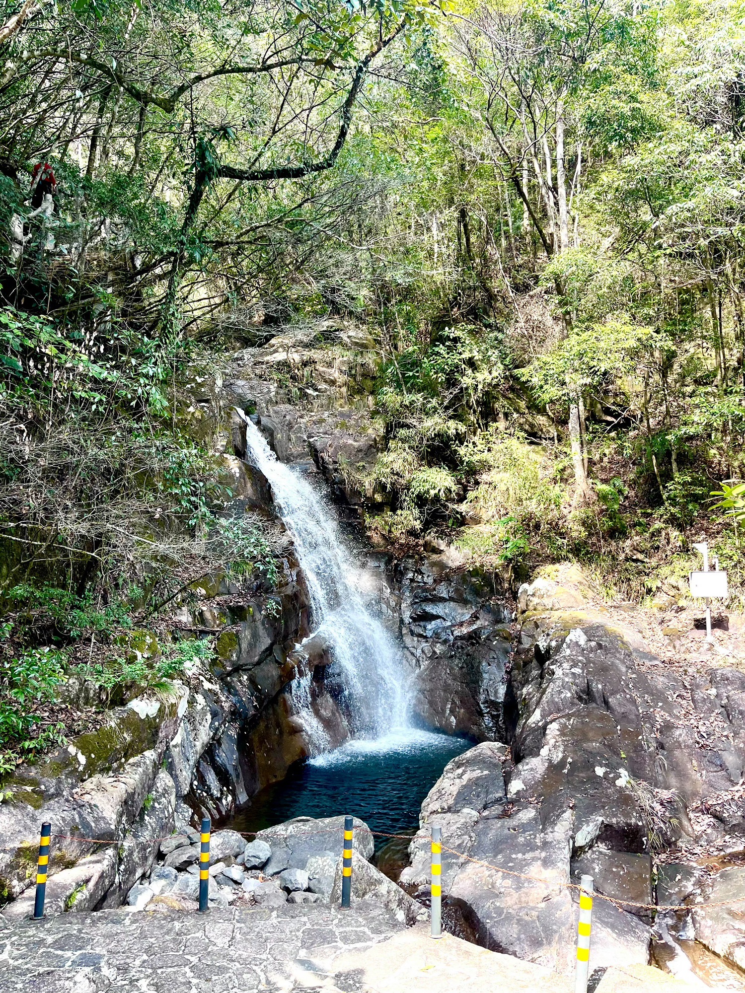 浙江乌岩岭国家级自然保护区旅行图片 2