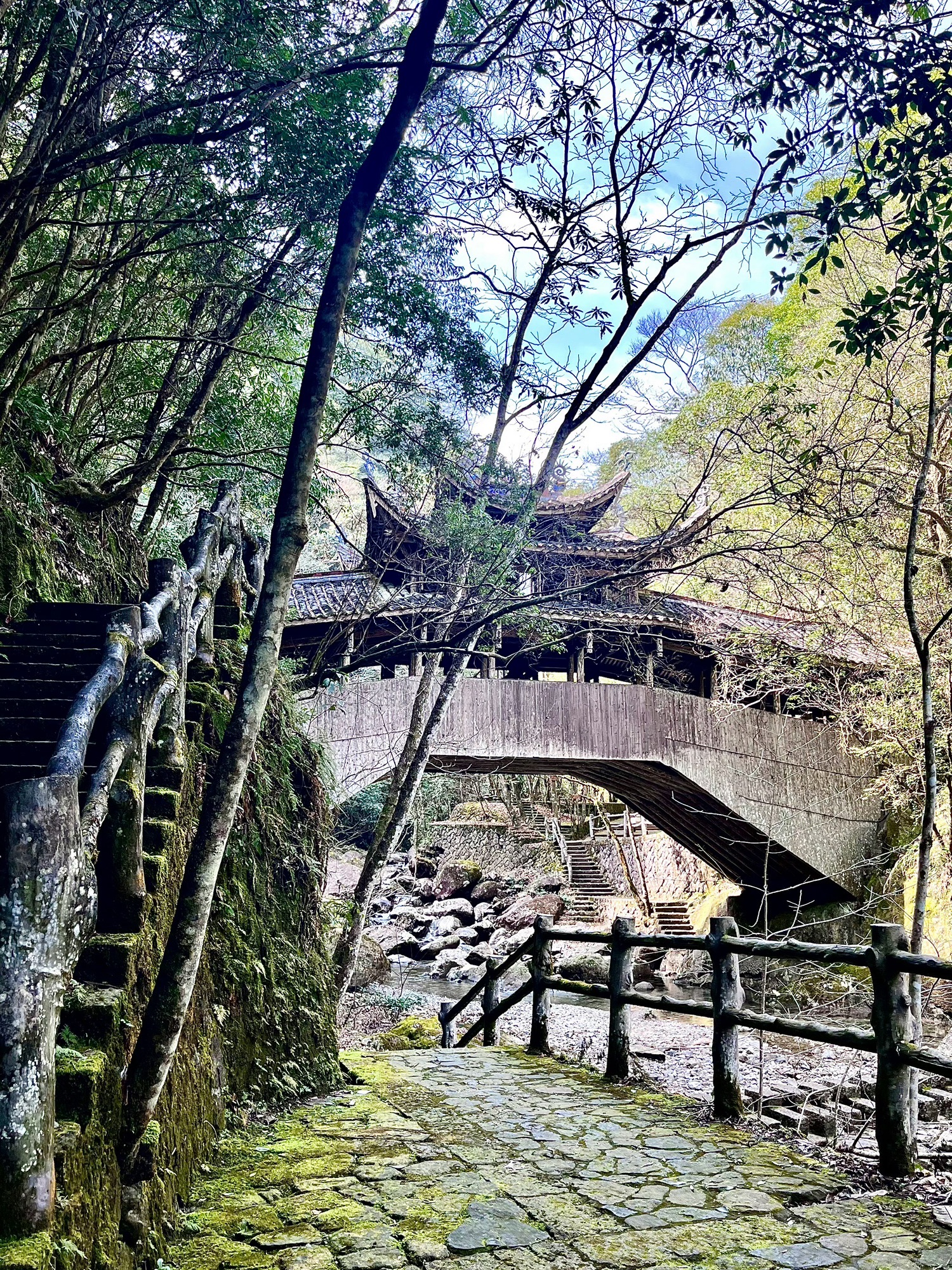 浙江乌岩岭国家级自然保护区旅行图片 1