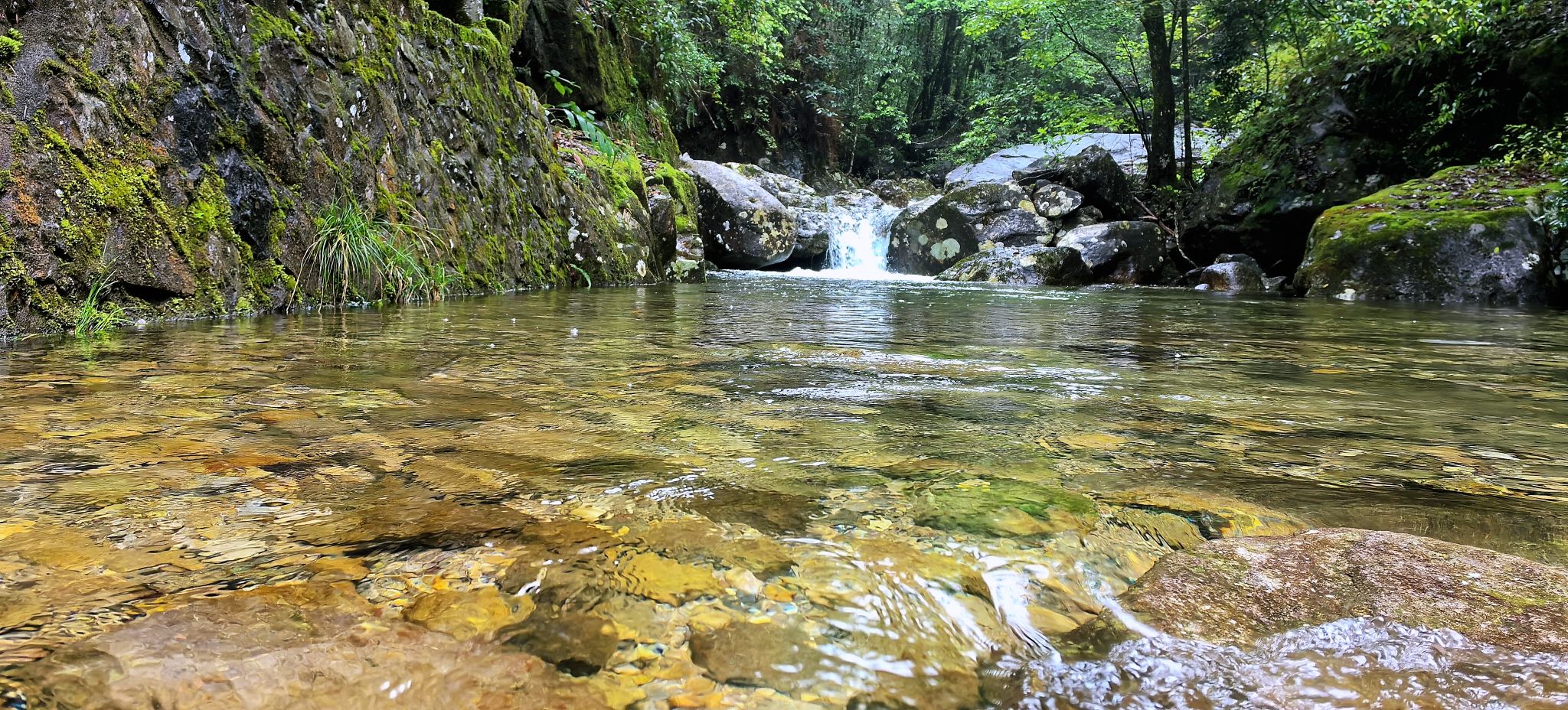 浙江乌岩岭国家级自然保护区旅行图片 3