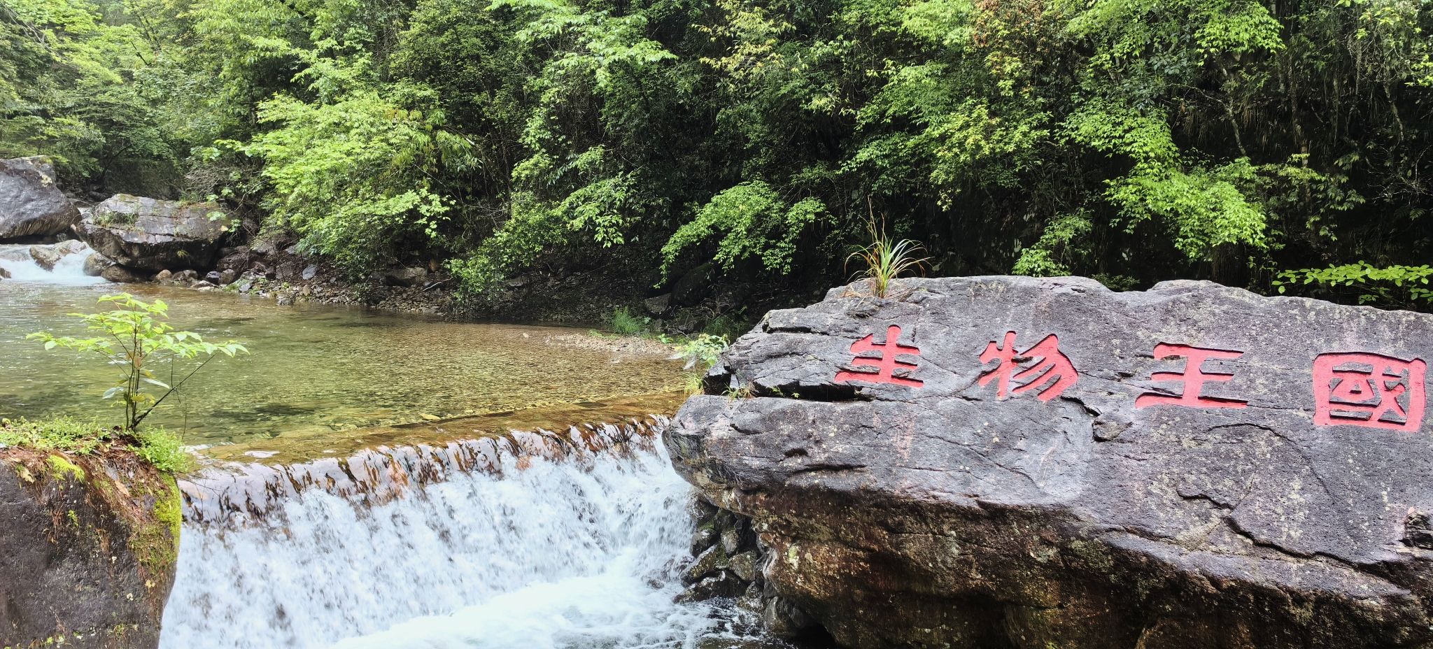 浙江乌岩岭国家级自然保护区旅行图片 2