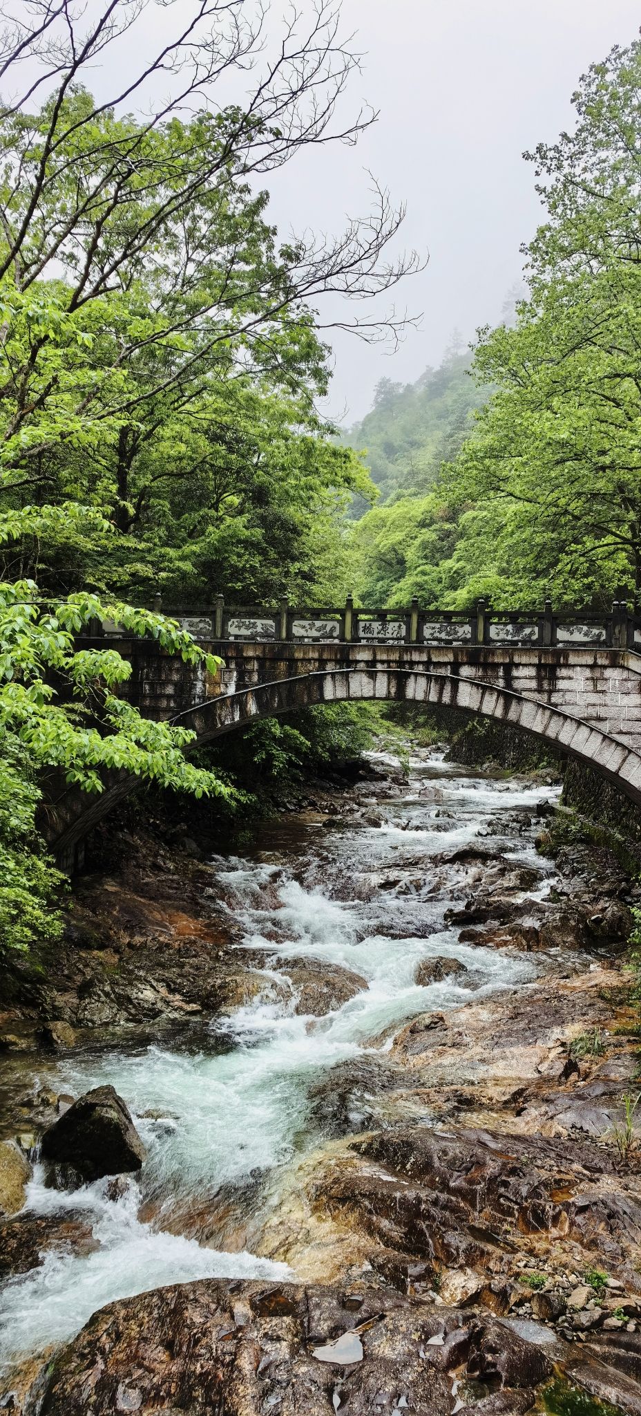 浙江乌岩岭国家级自然保护区旅行图片 1