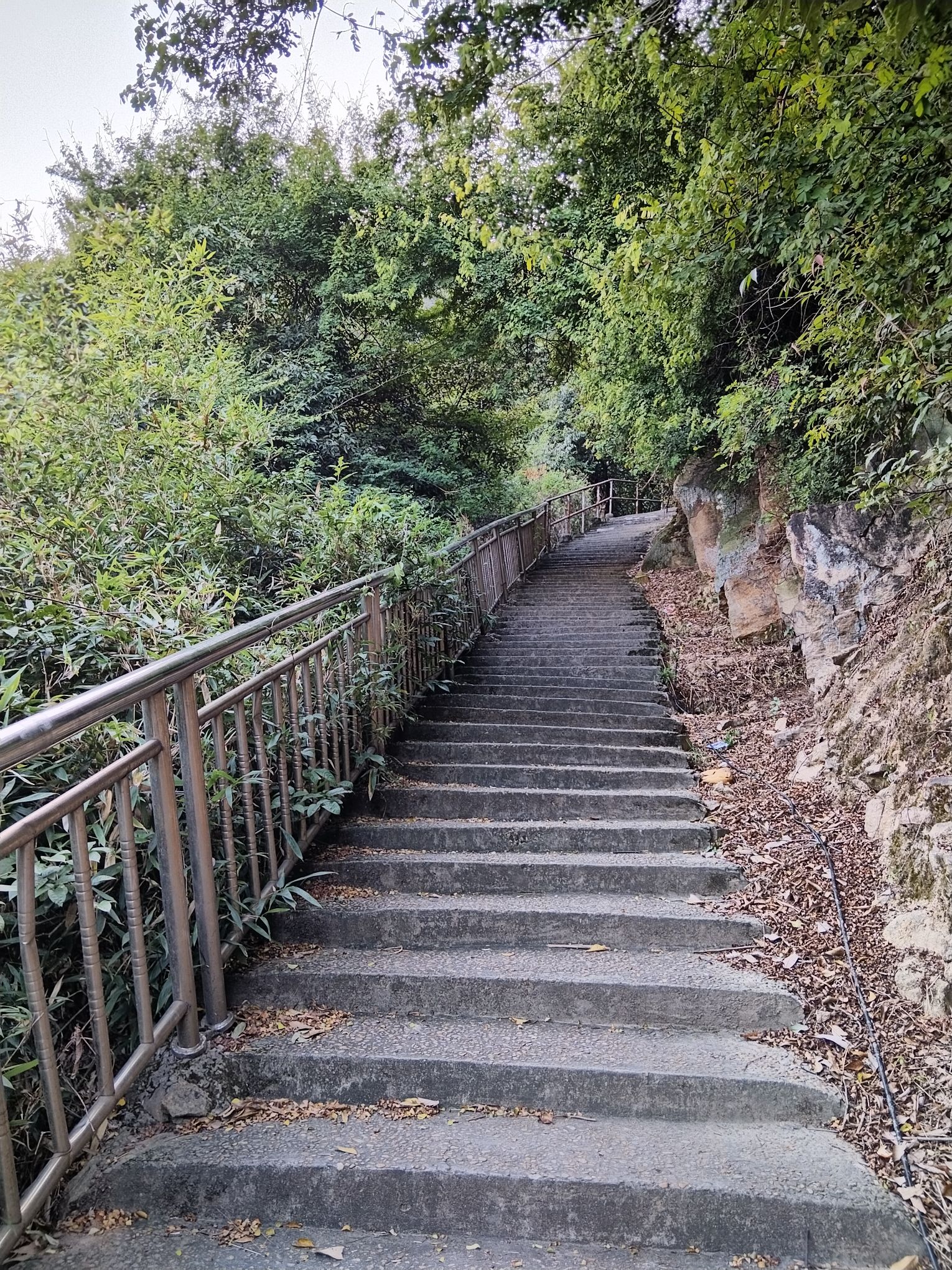 西郊森林公园旅行图片 3